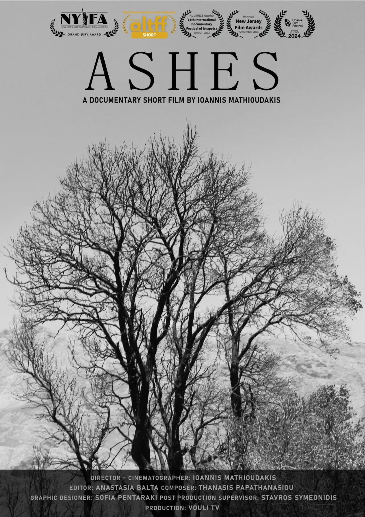 Постер до фільму "Ashes"