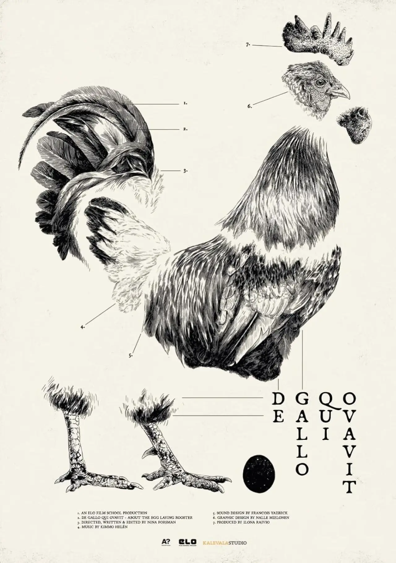 Постер до фільму "De Gallo Qui Ovavit"