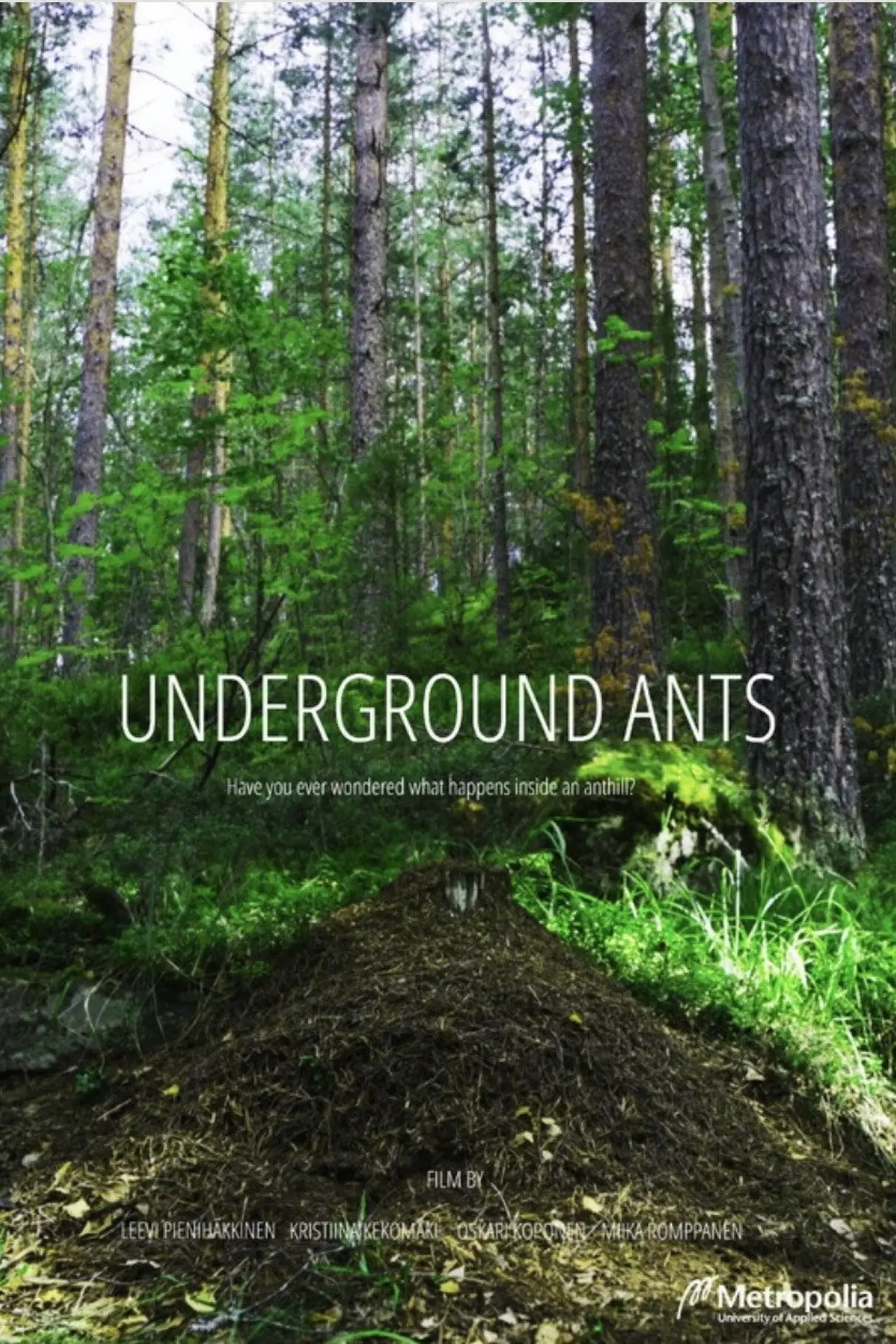 Постер до фільму "Underground Ants"