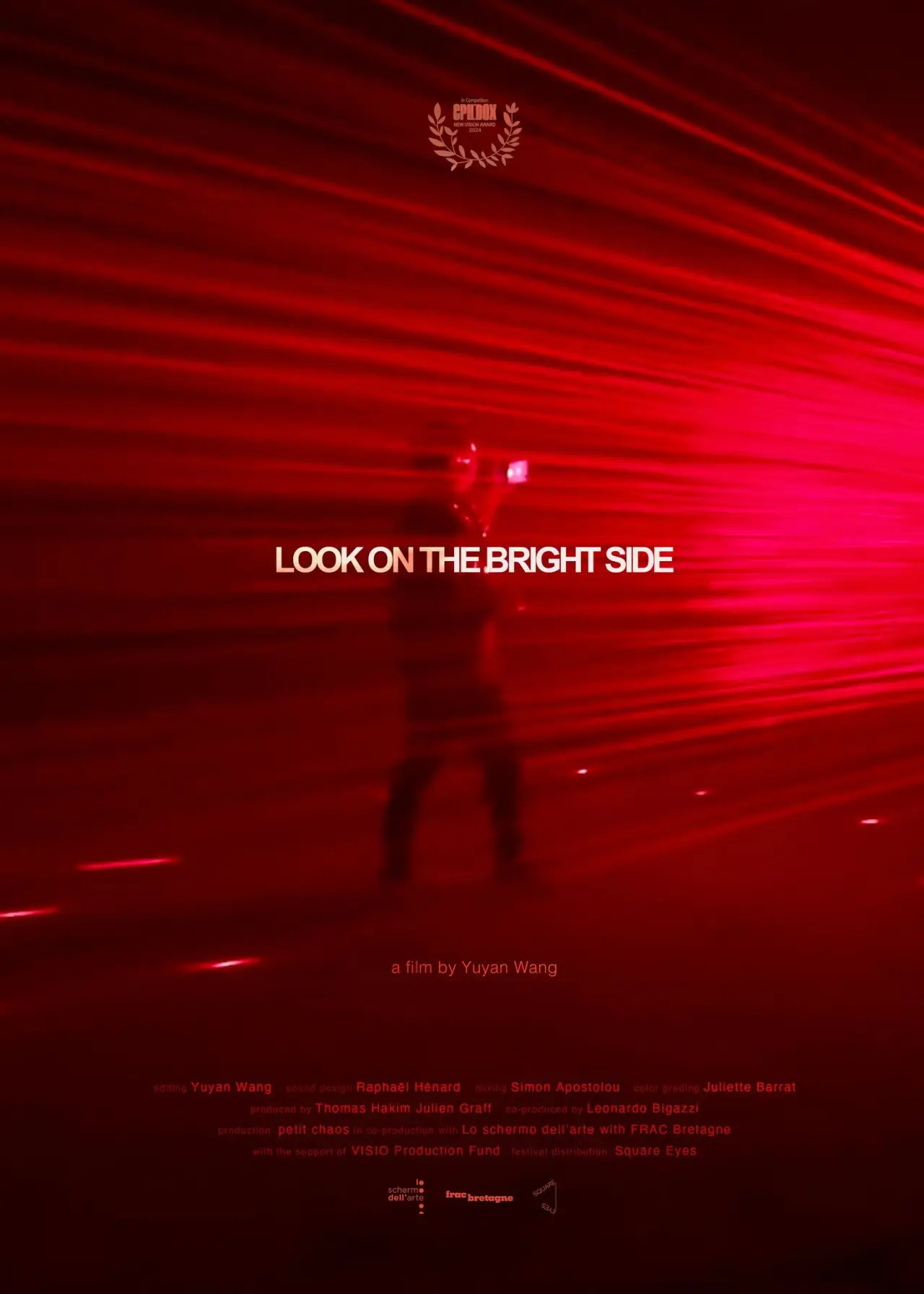 Постер до фільму "Look On the Bright Side"