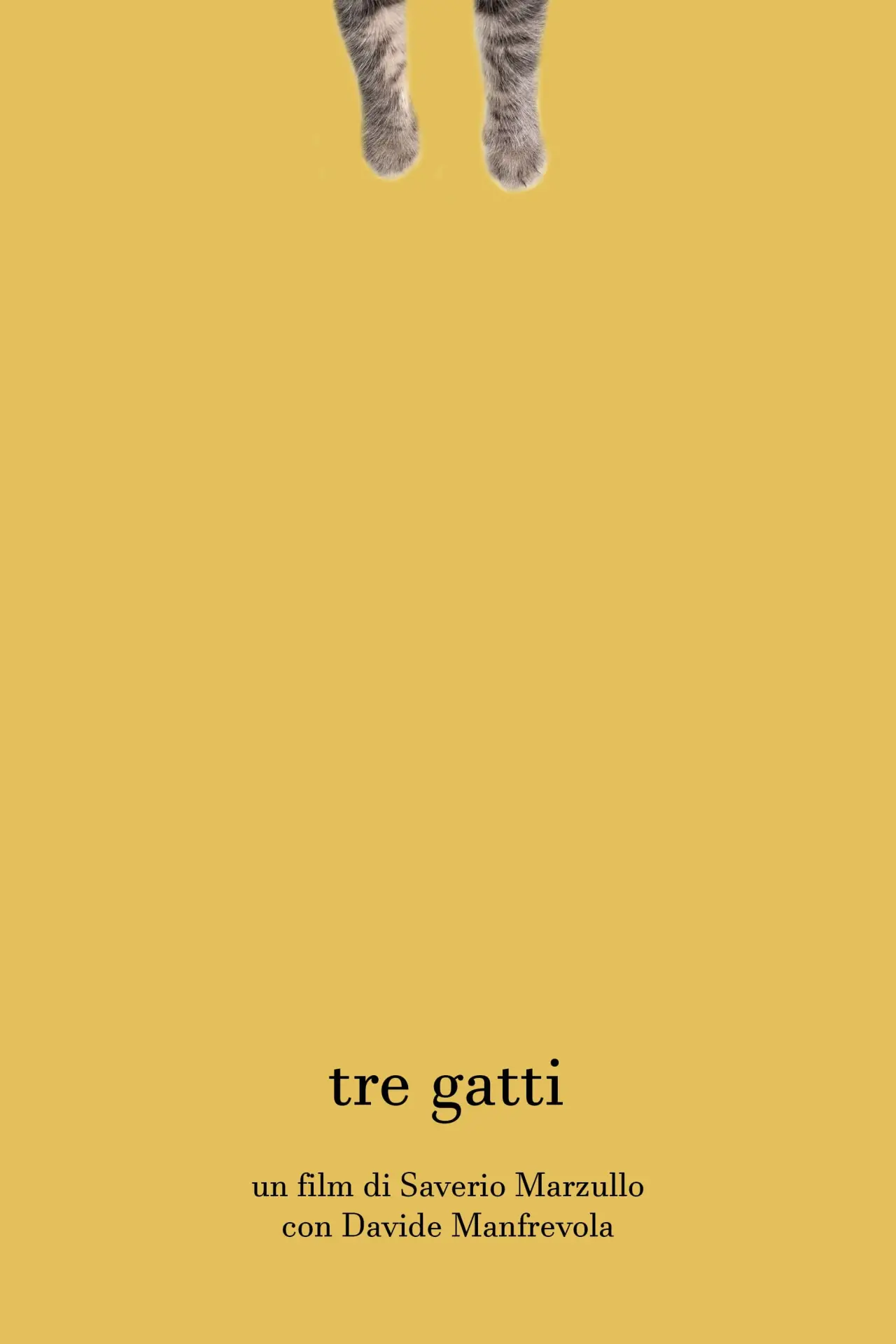 Постер до фільму "Tre gatti"