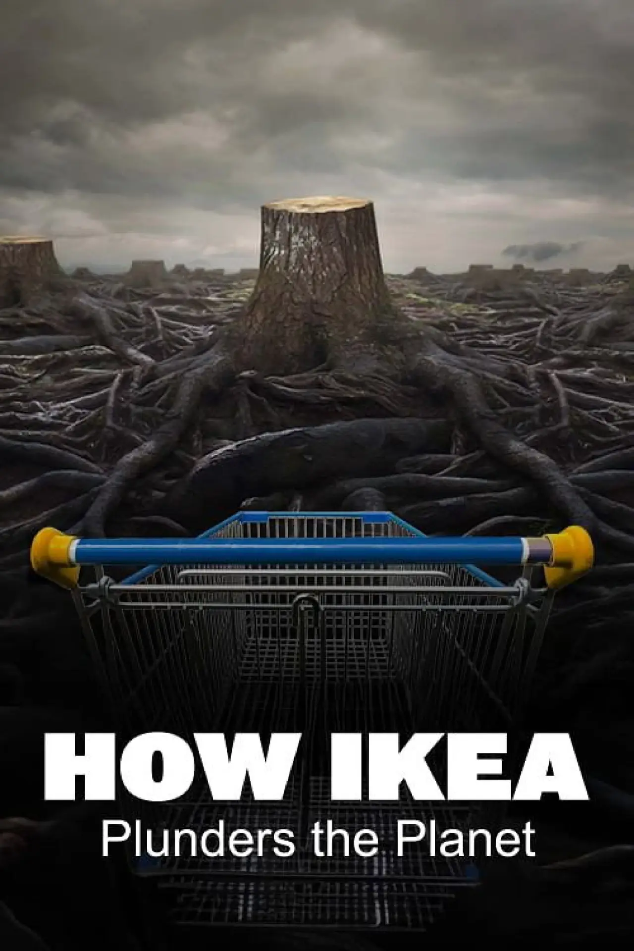 Постер до фільму "Ikea, le seigneur des forêts"