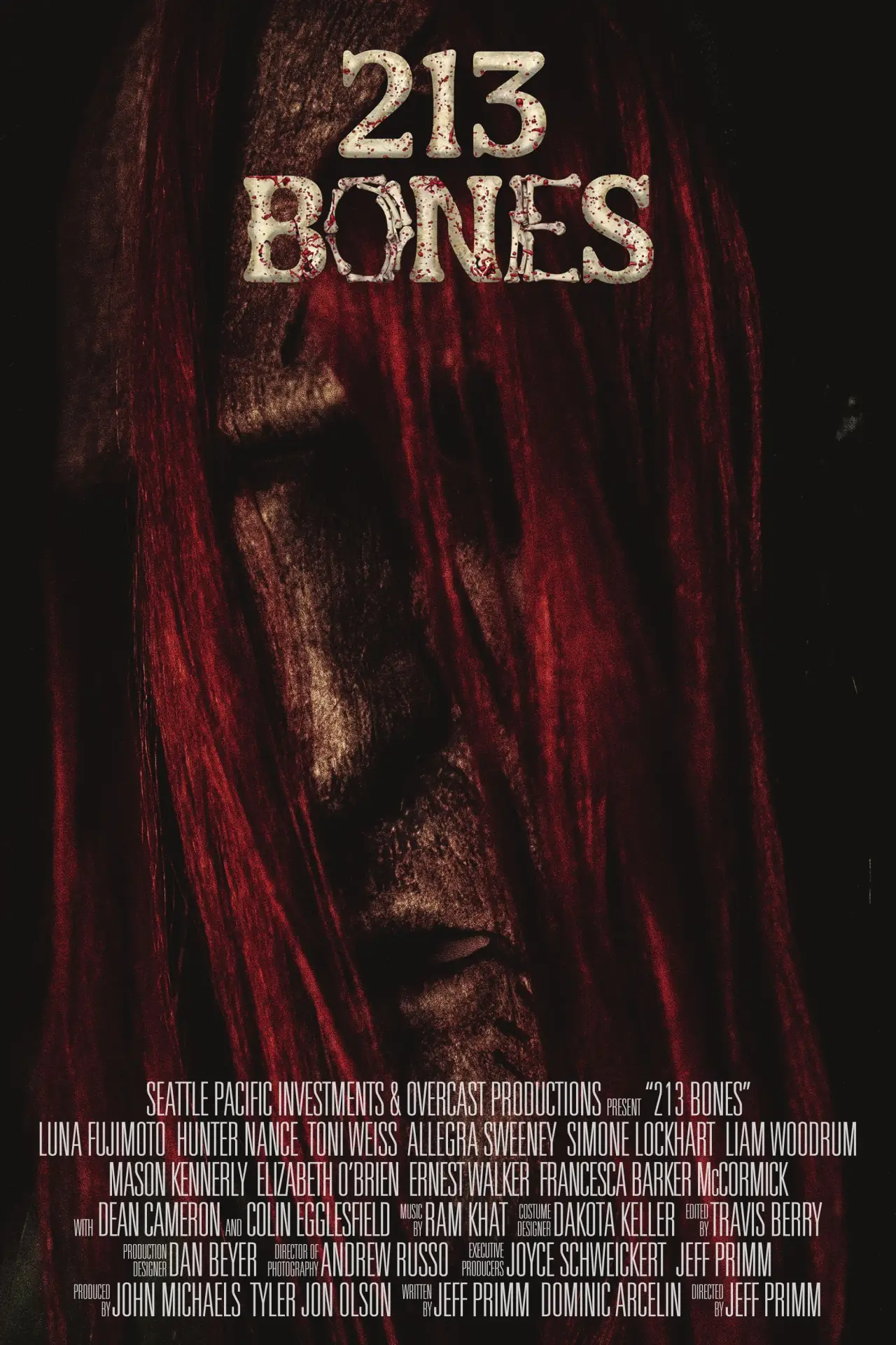 Постер до фільму "213 Bones"
