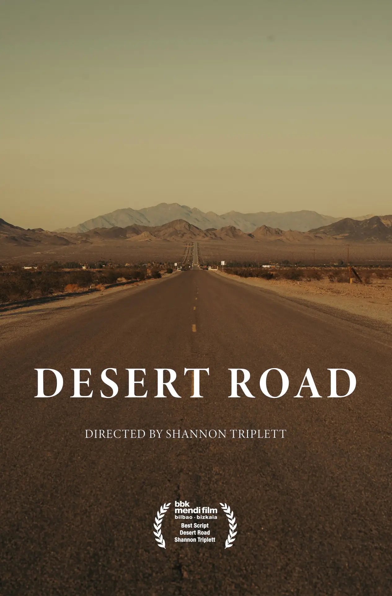 Постер до фільму "Desert Road"