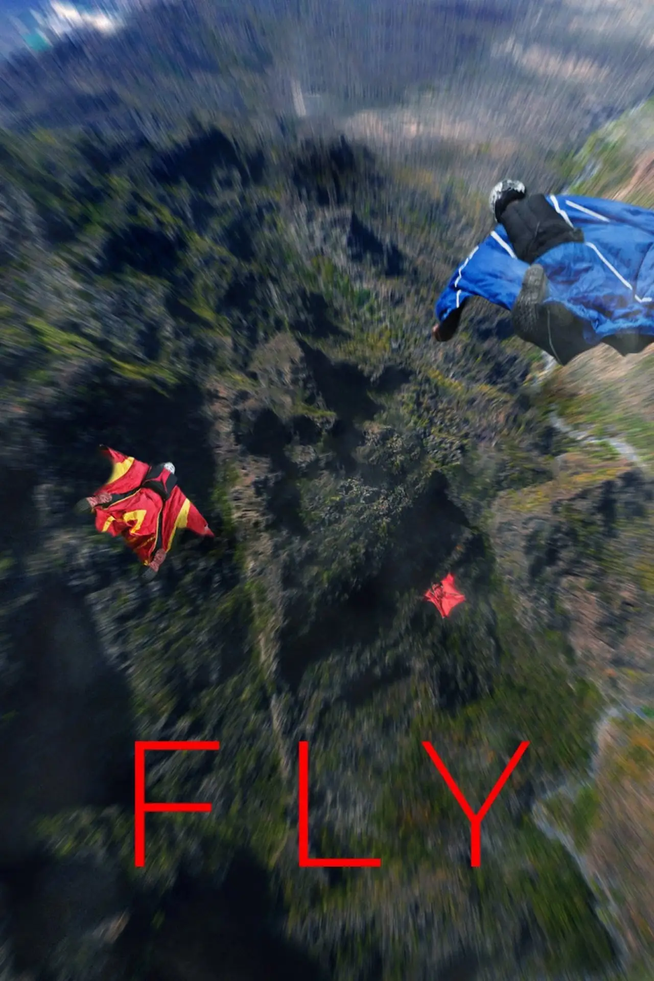 Постер до фільму "Fly"