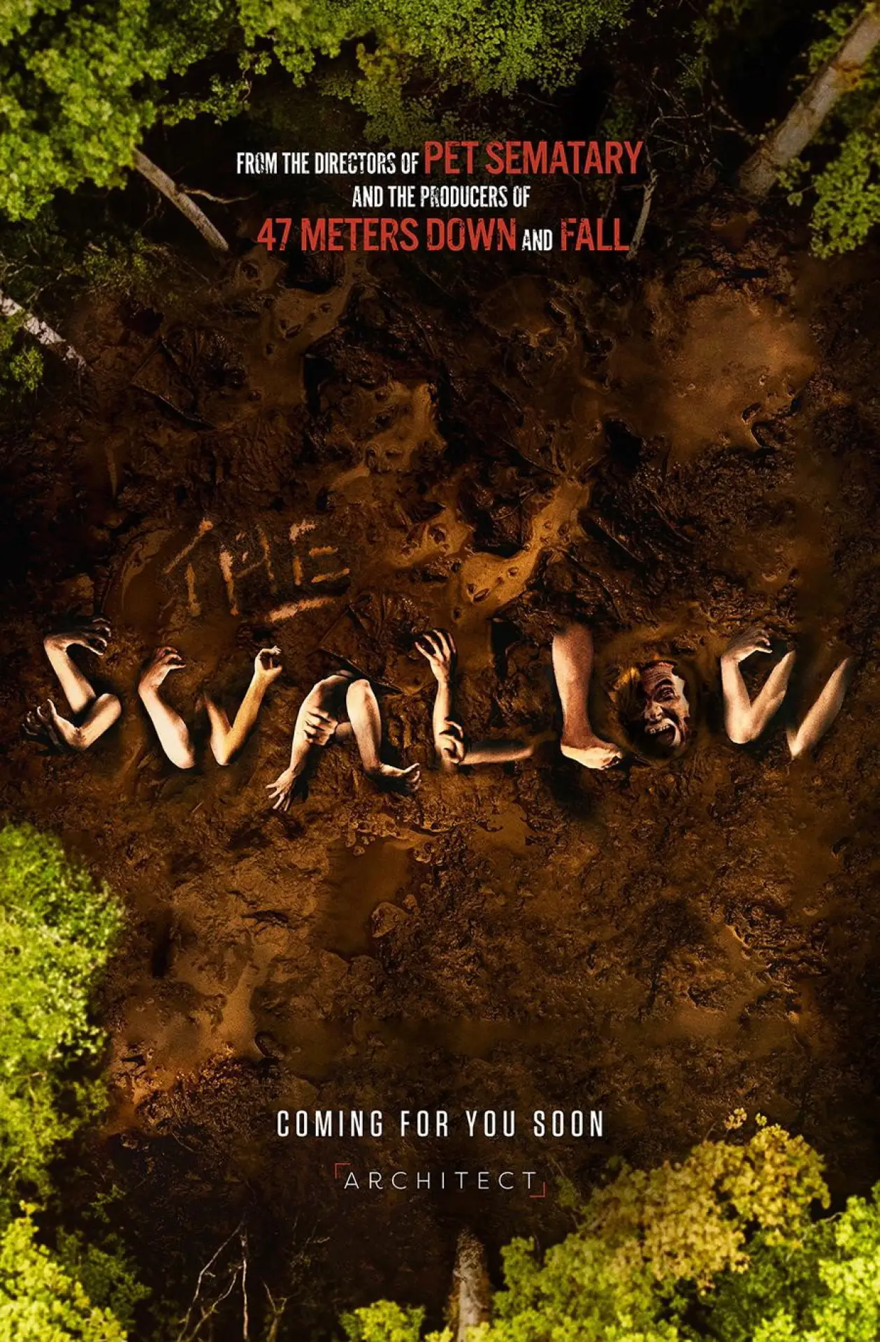 Постер до фільму "The Swallow"
