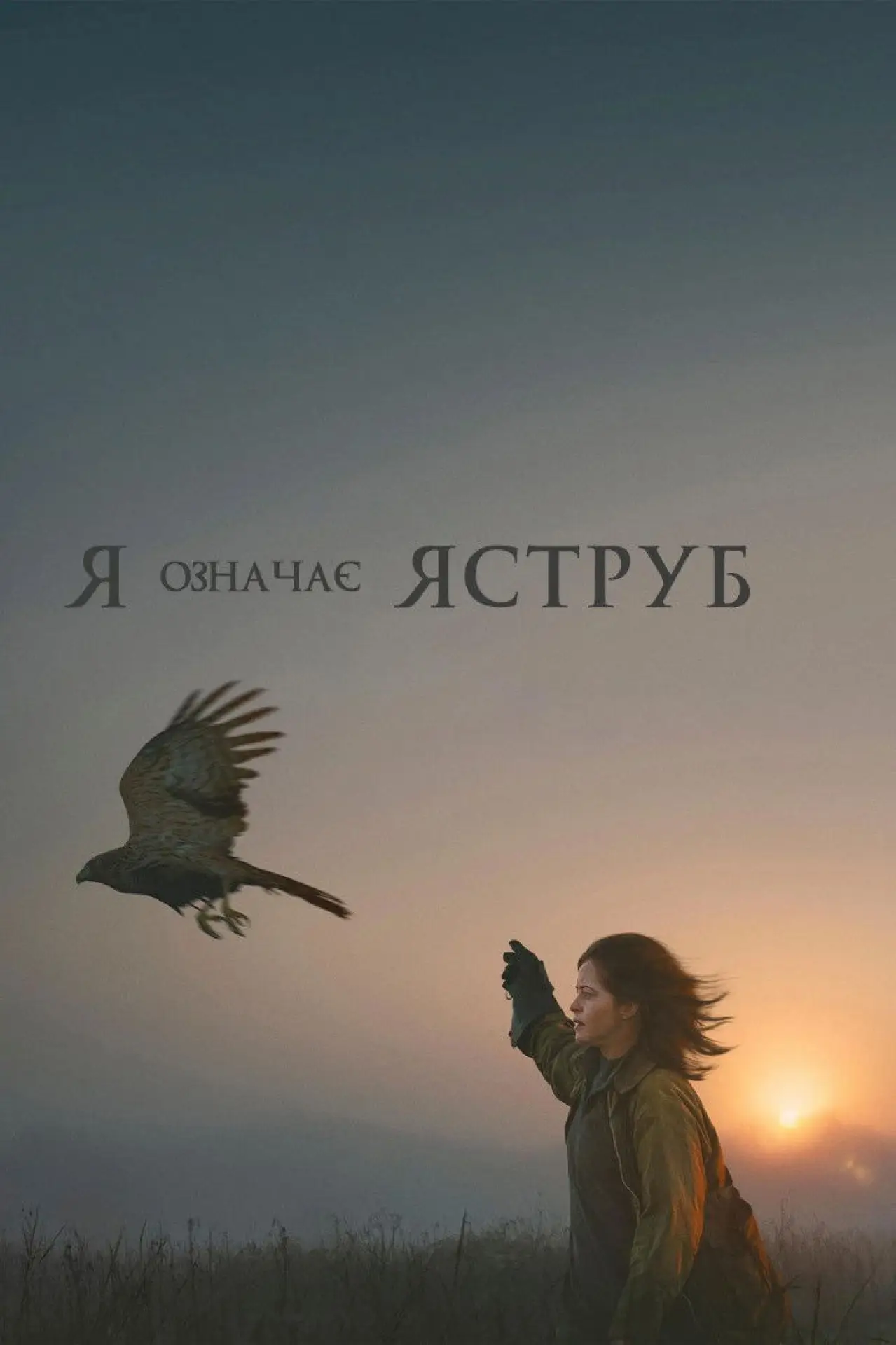 Постер до фільму "«Я» означає Яструб"
