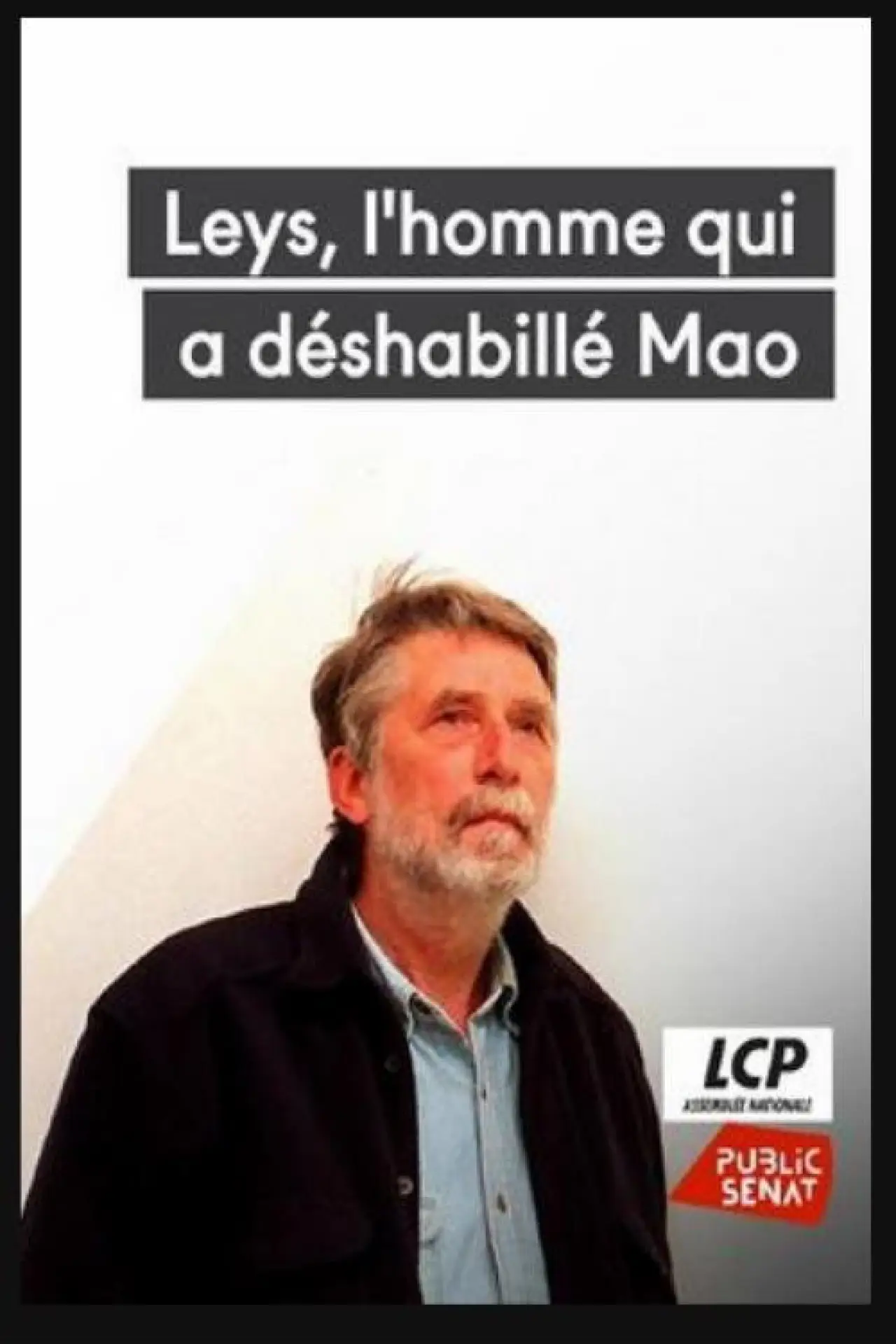 Постер до фільму "Leys, l
