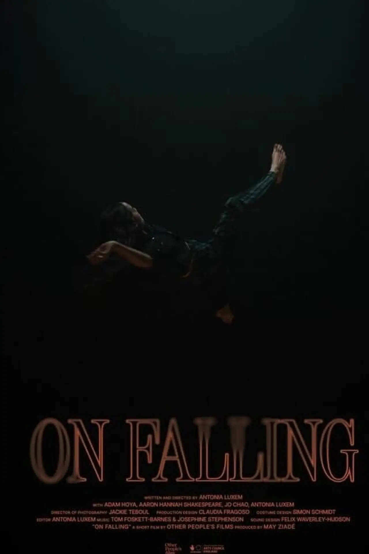 Постер до фільму "On Falling"
