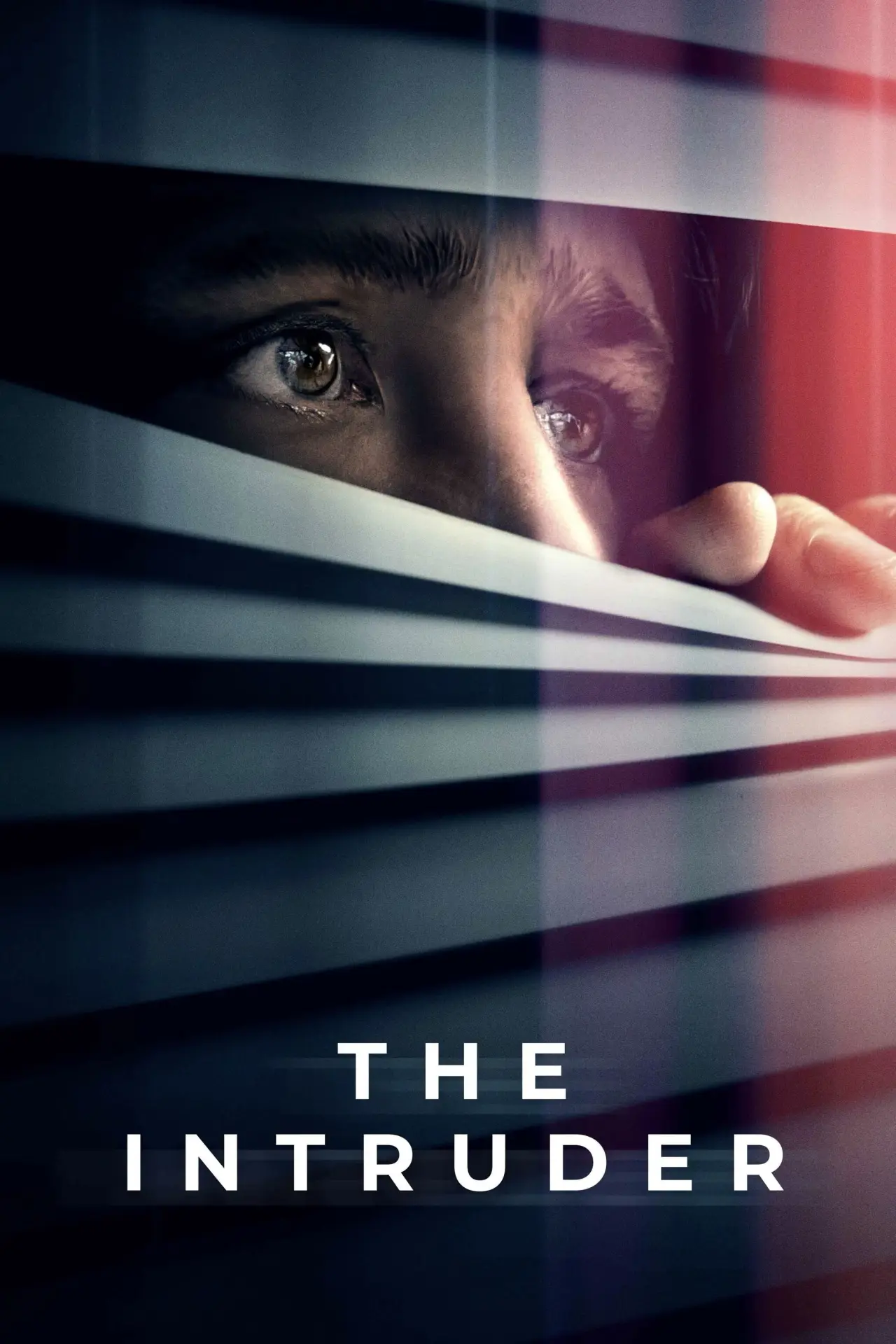 Постер до фільму "The Intruder"