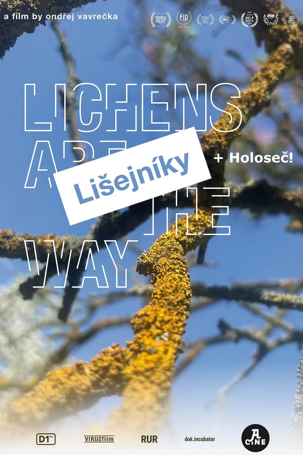 Постер до фільму "Lichens Are the Way"