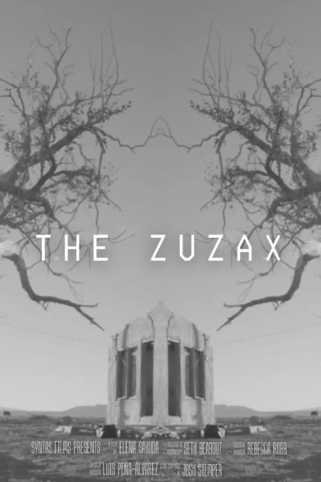 Постер до фільму "The Zuzax"