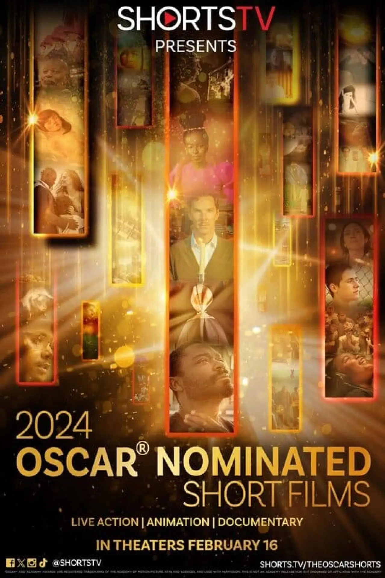 Постер до фільму "2024 Oscar Nominated Short Films: Documentary"