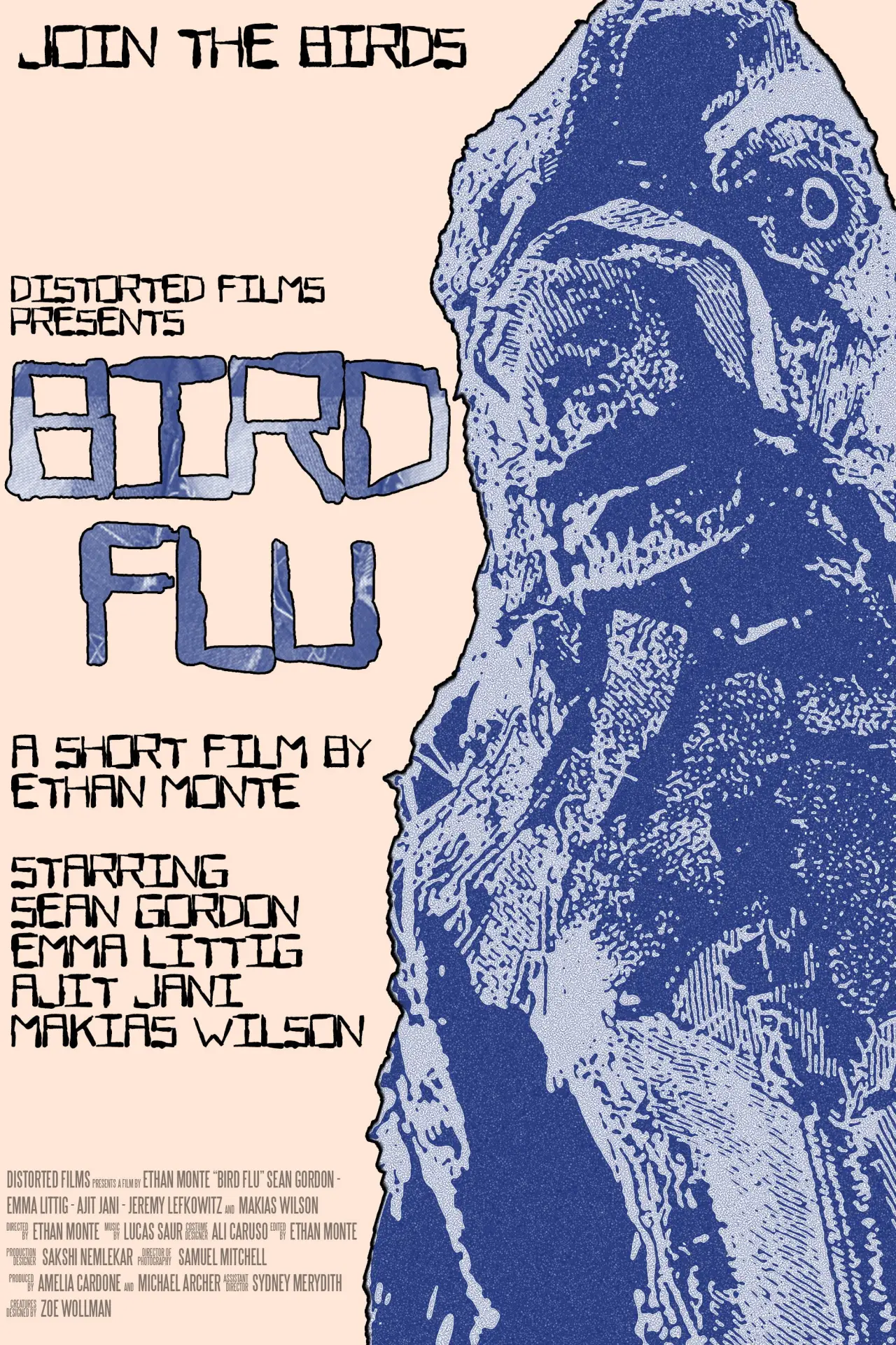 Постер до фільму "Bird Flu"