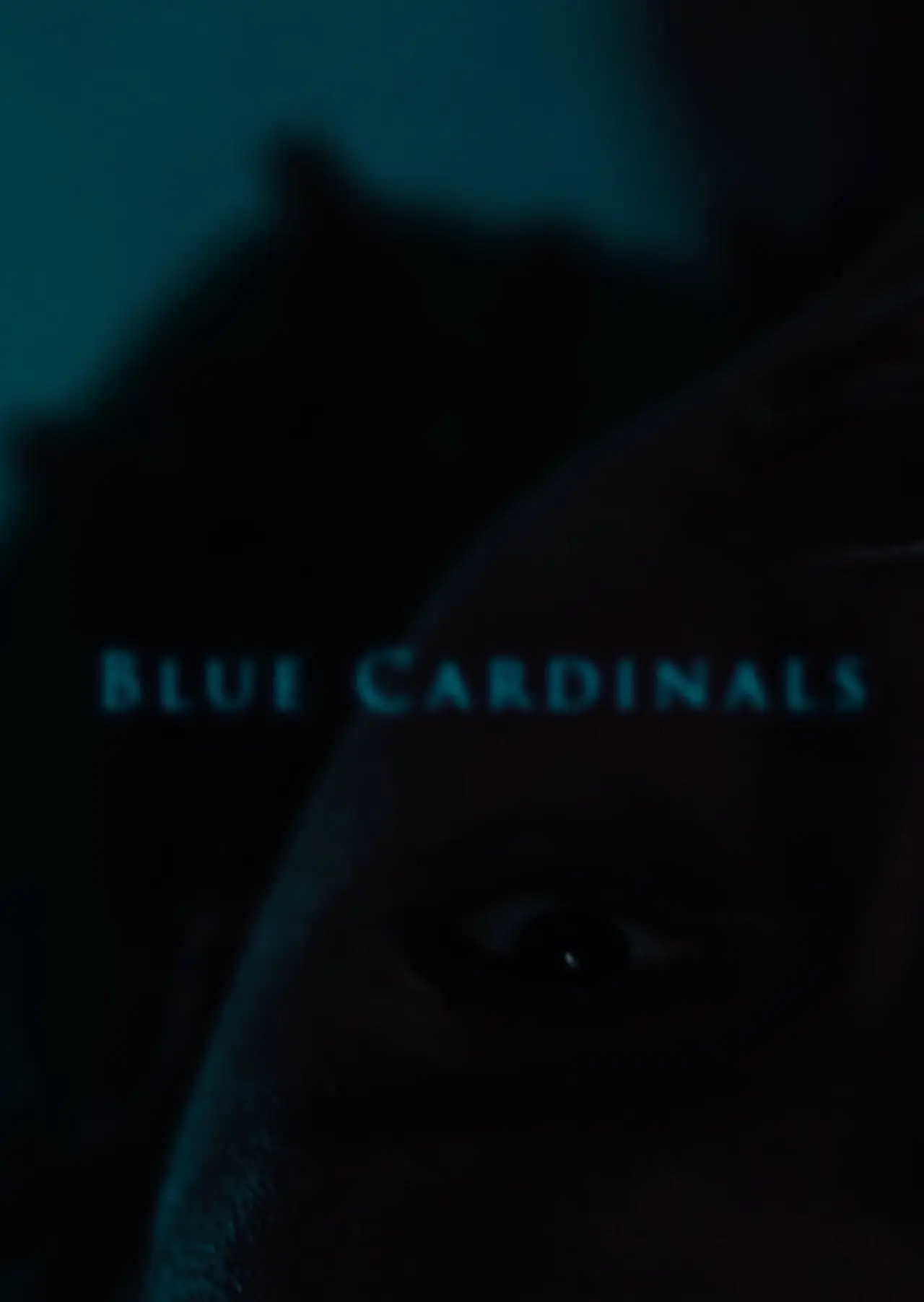 Постер до фільму "Blue Cardinals"