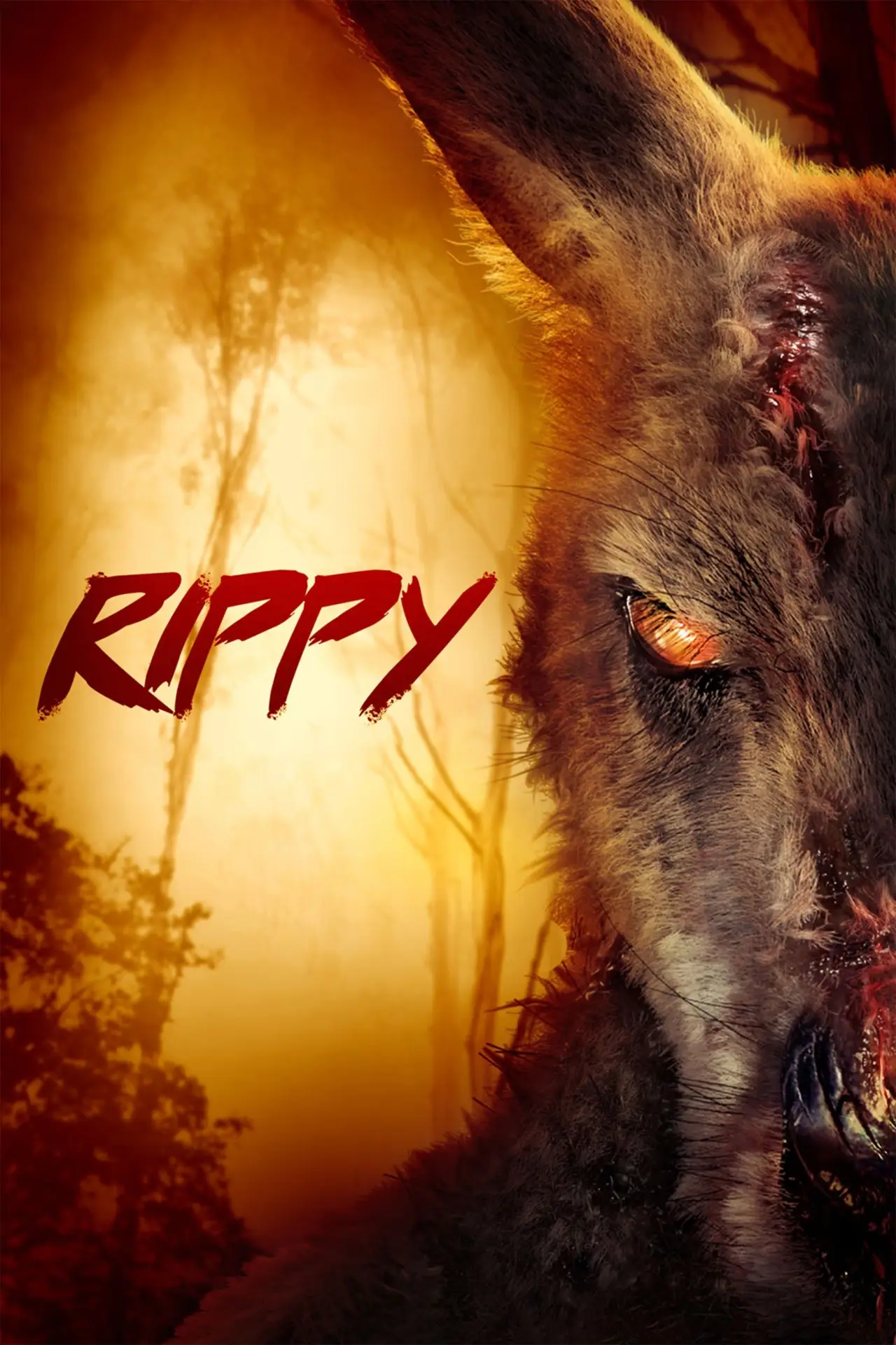 Постер до фільму "Rippy"