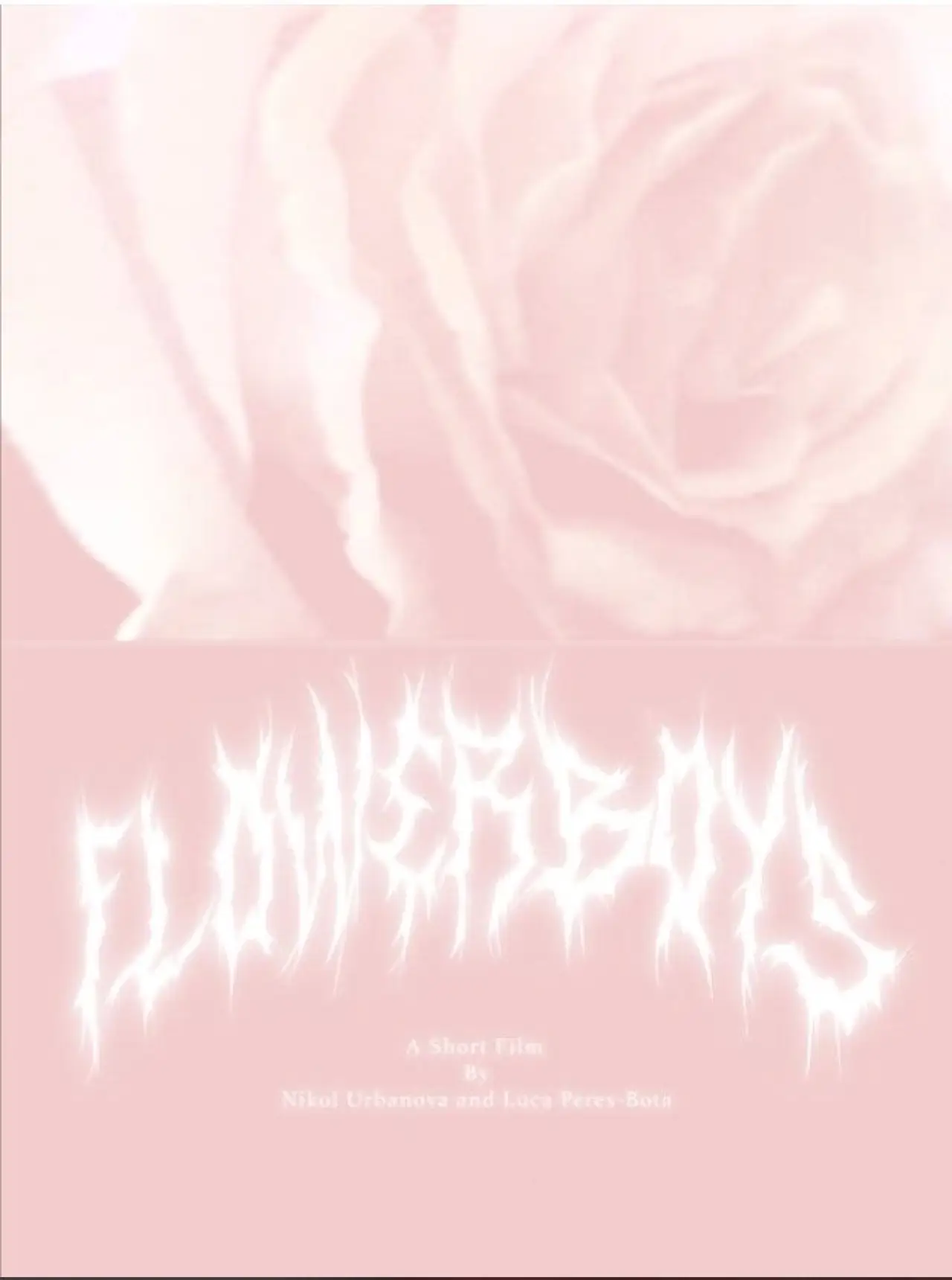 Постер до фільму "Flowerboys"