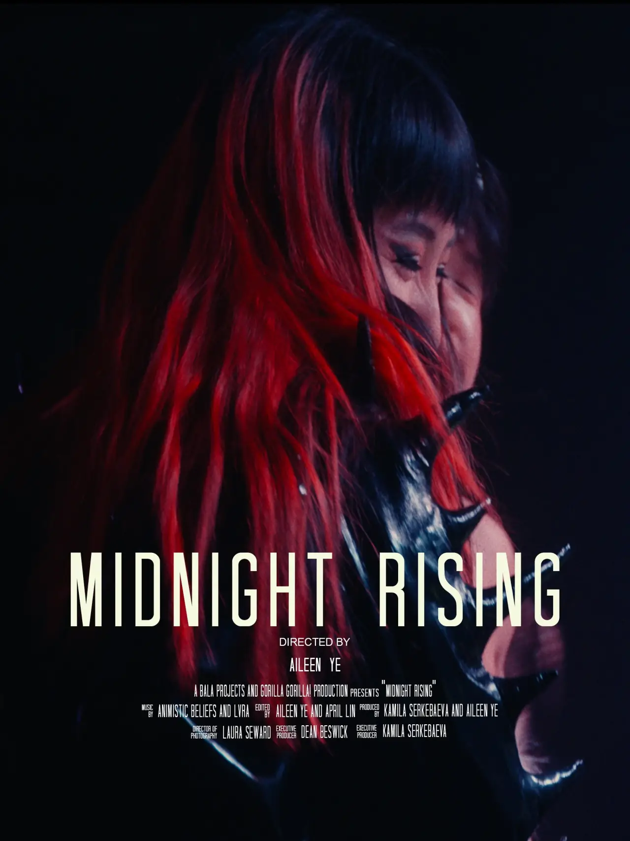 Постер до фільму "Midnight Rising"