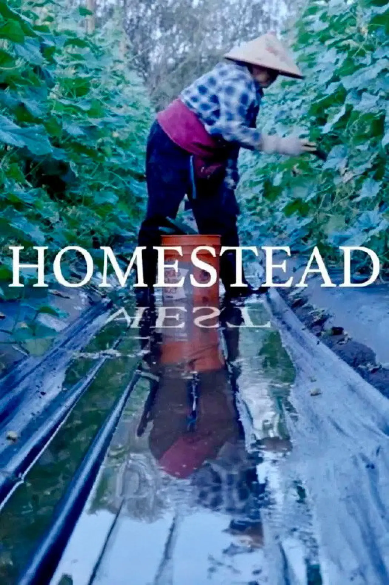 Постер до фільму "Homestead"
