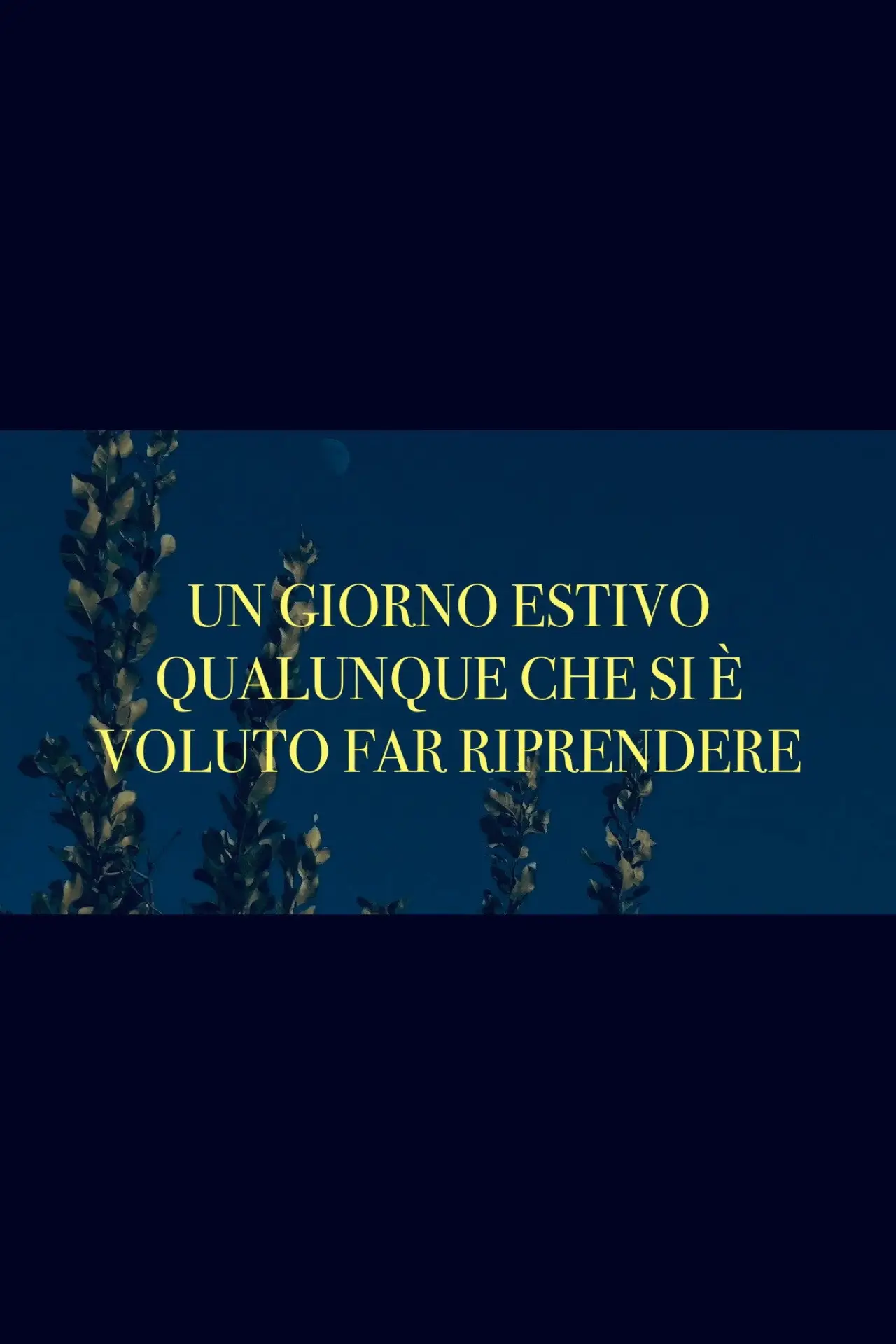 Постер до фільму "Un giorno estivo qualunque che si è voluto far riprendere"