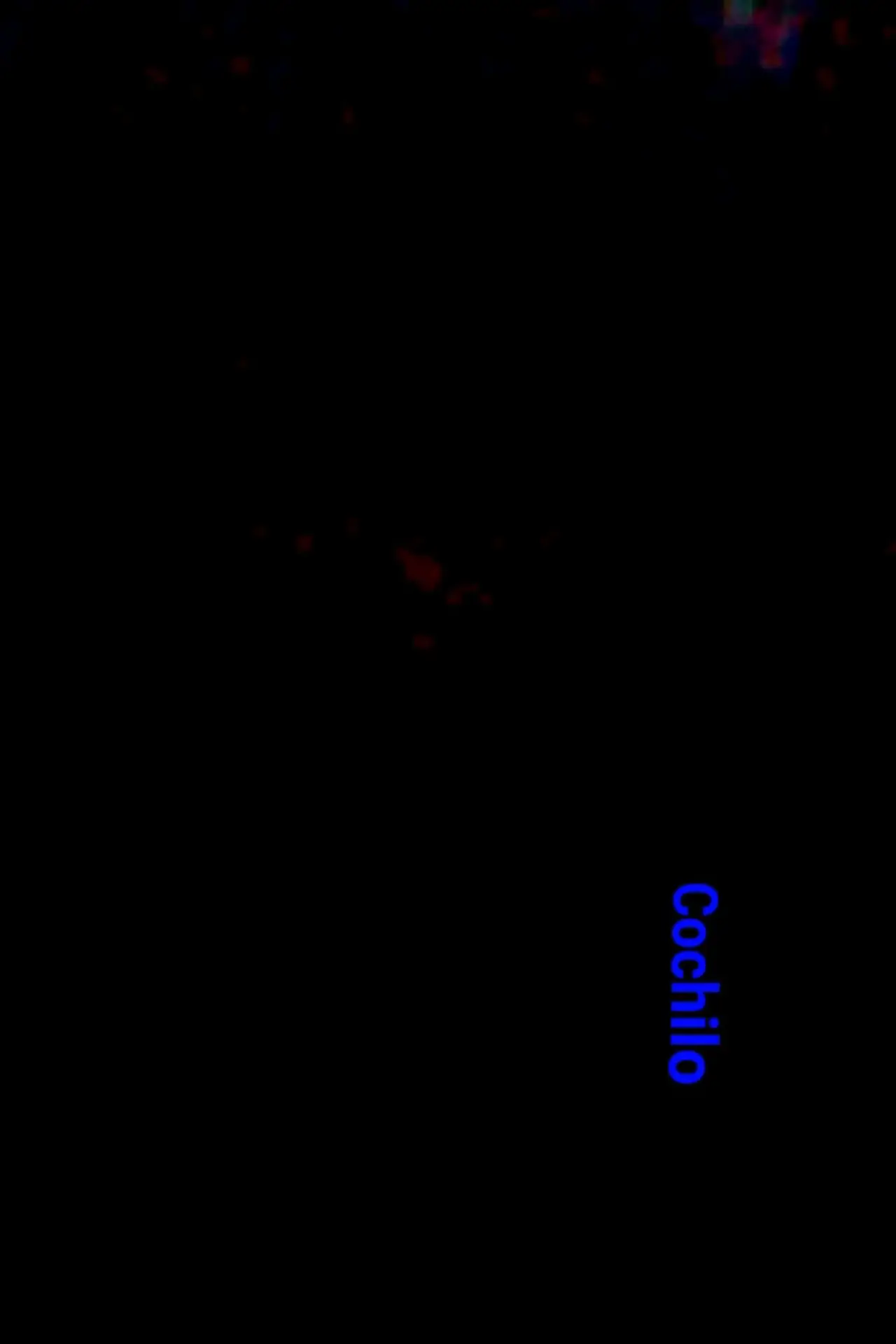 Постер до фільму "Cochilo"