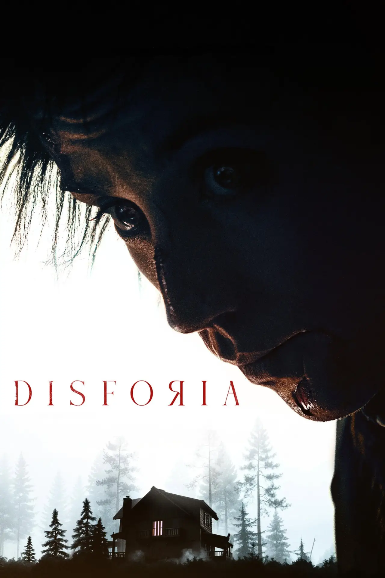 Постер до фільму "Disforia"