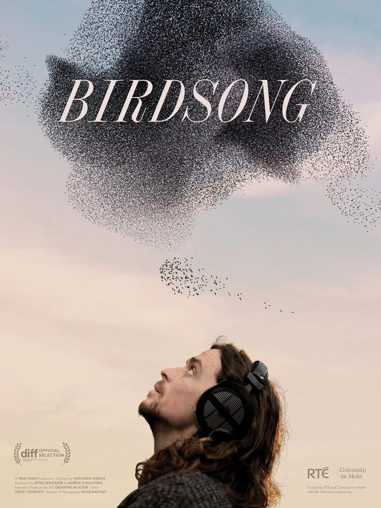 Постер до фільму "Birdsong"
