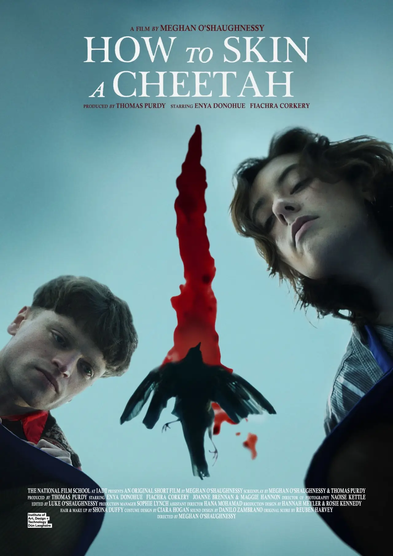 Постер до фільму "How to Skin a Cheetah"