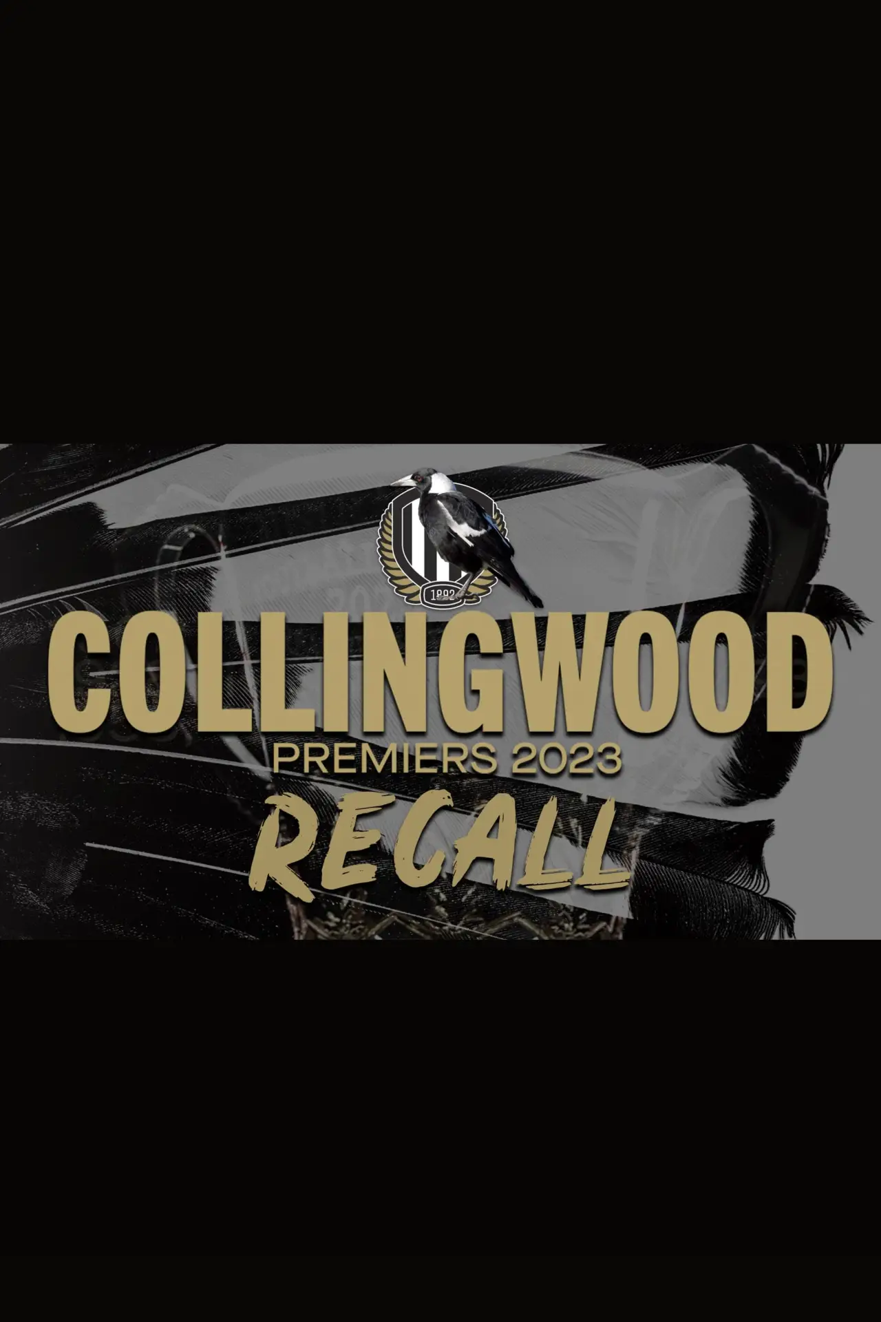 Постер до фільму "Collingwood Recall"