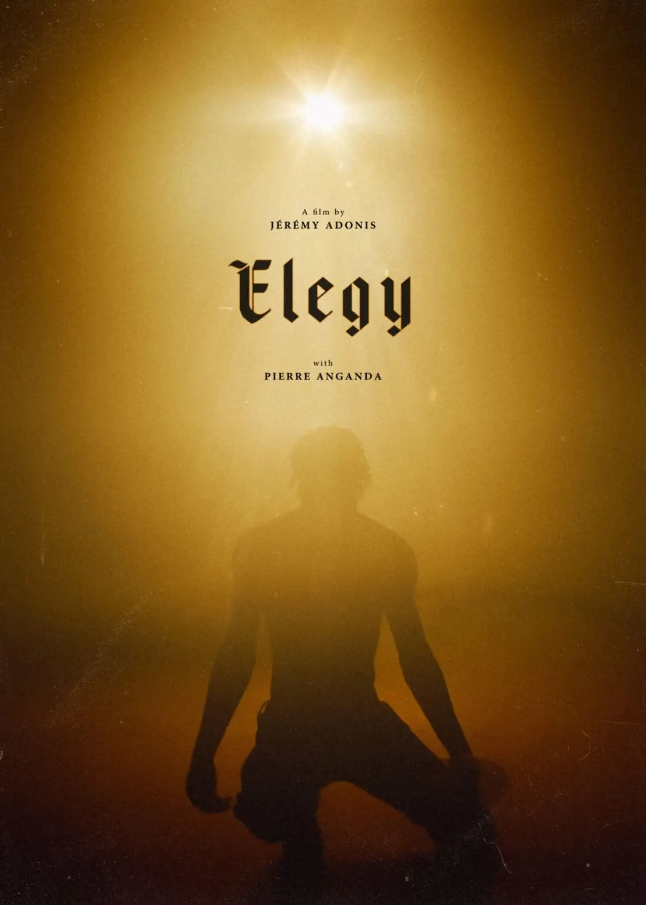 Постер до фільму "Elegy"