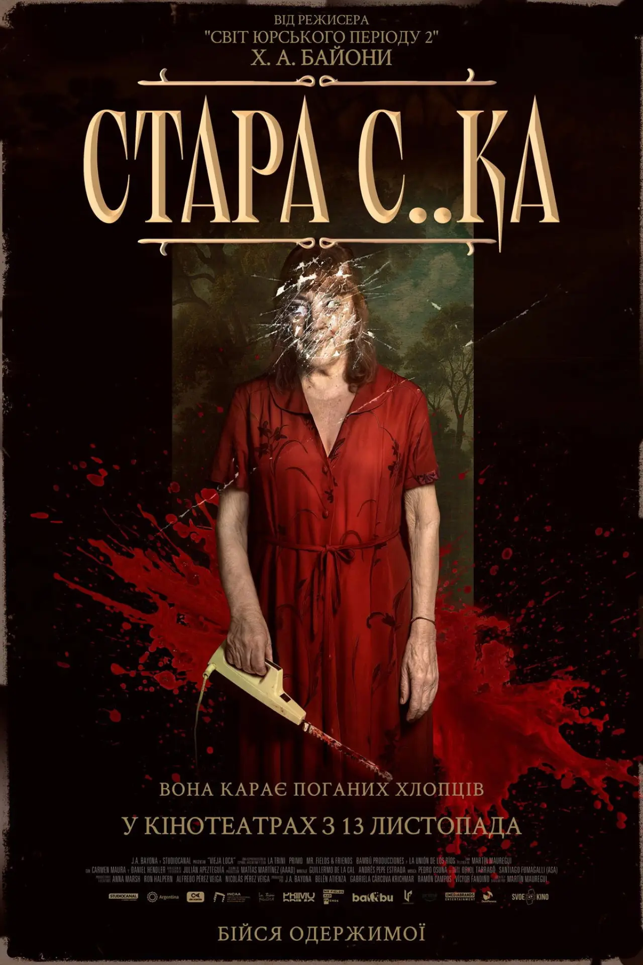 Постер до фільму "Стара с..ка"
