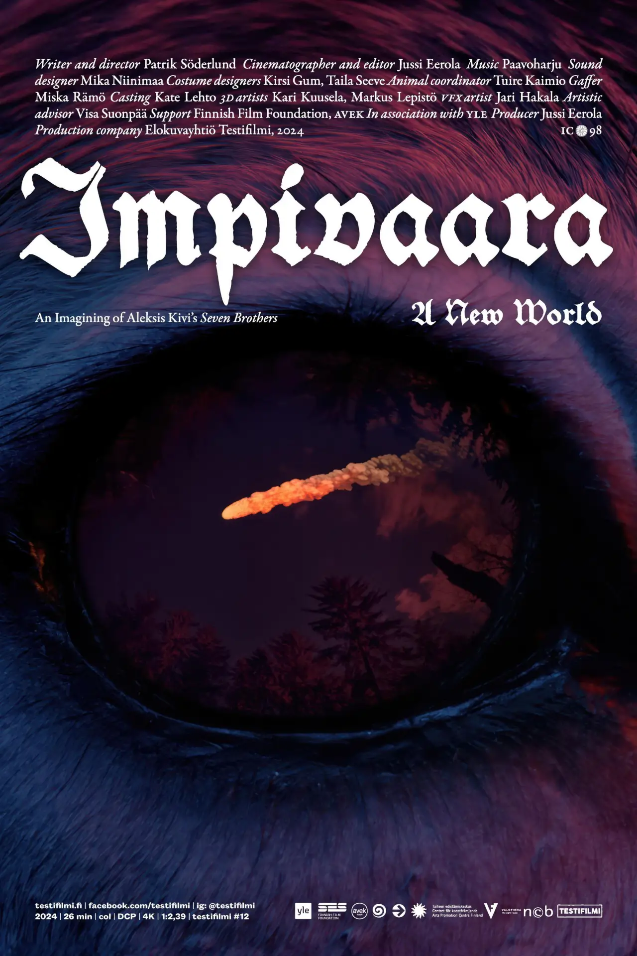 Постер до фільму "Impivaara"