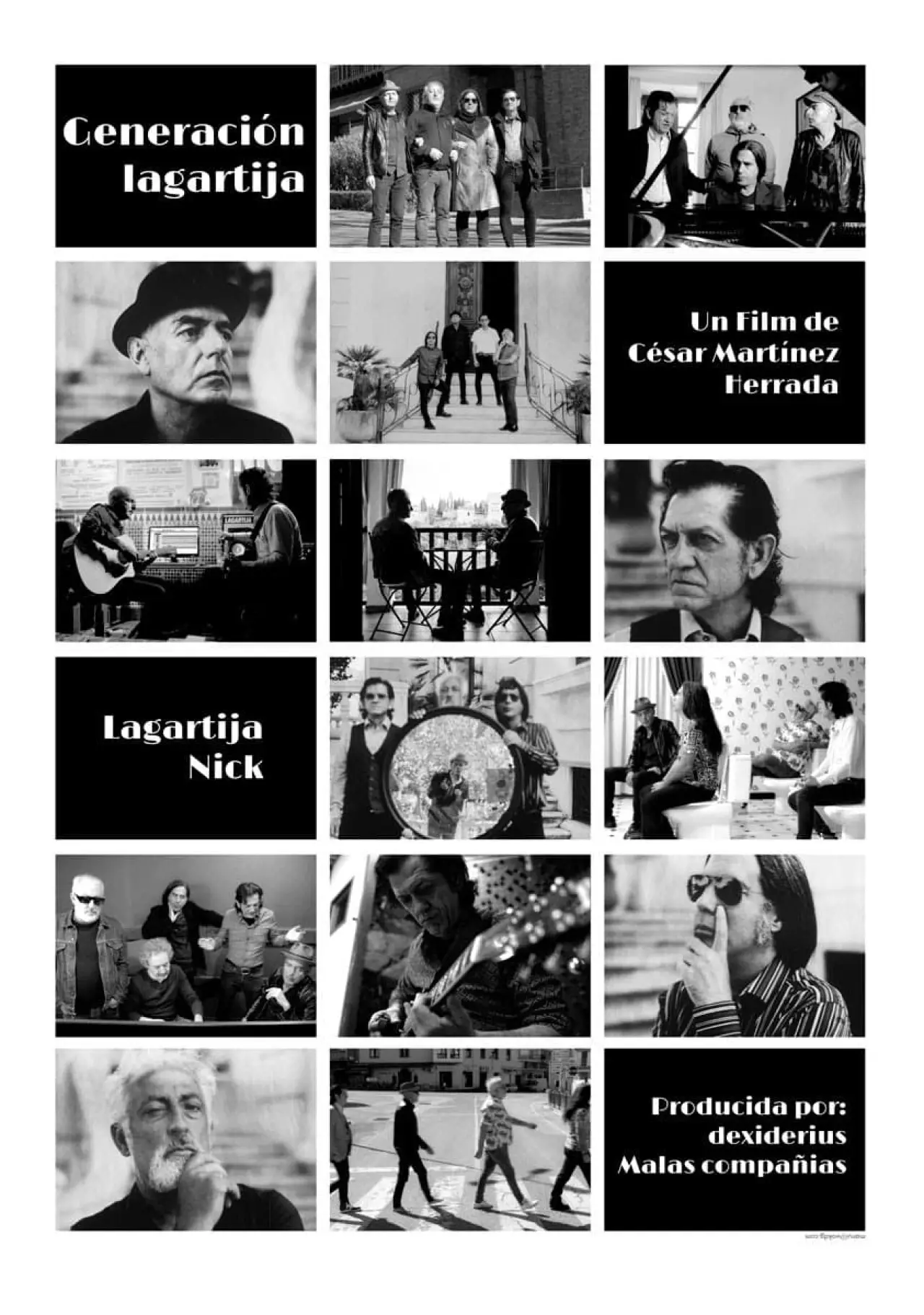 Постер до фільму "Generación Lagartija"