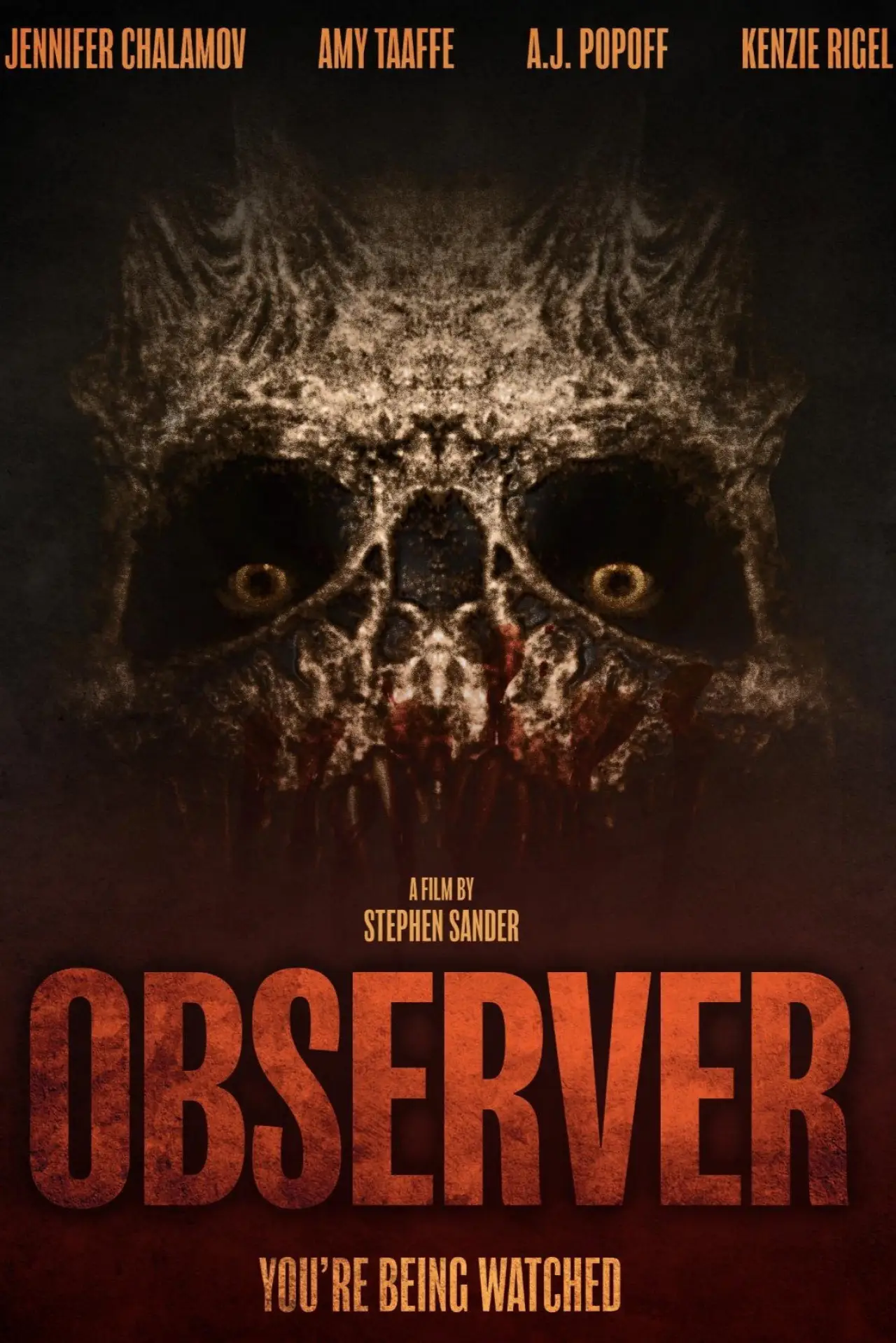 Постер до фільму "Observer"