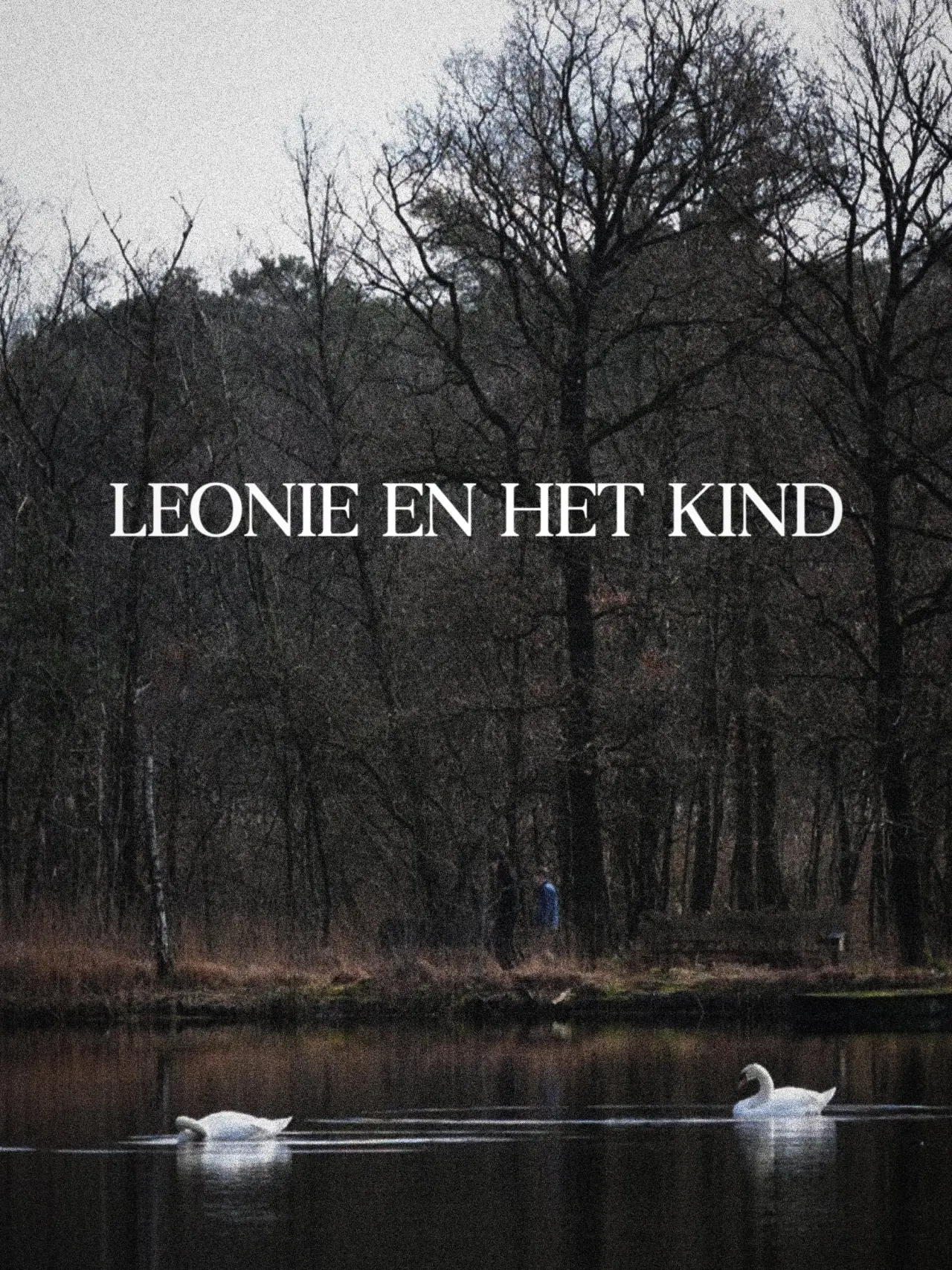 Постер до фільму "Leonie en Het Kind"