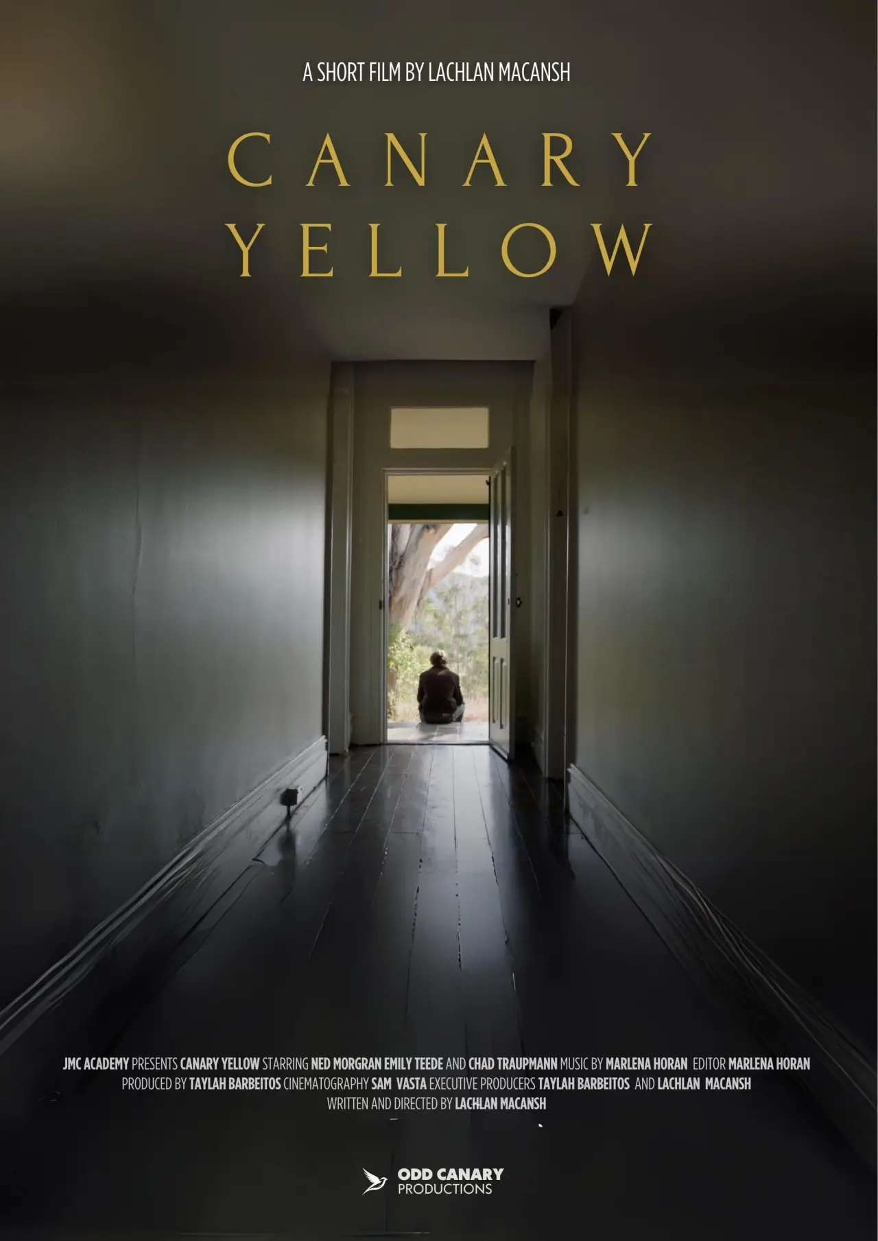 Постер до фільму "Canary Yellow"