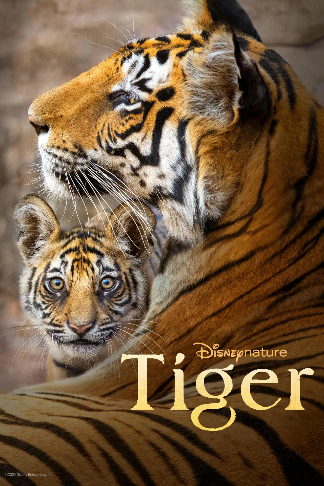 Постер до фільму "Tiger"