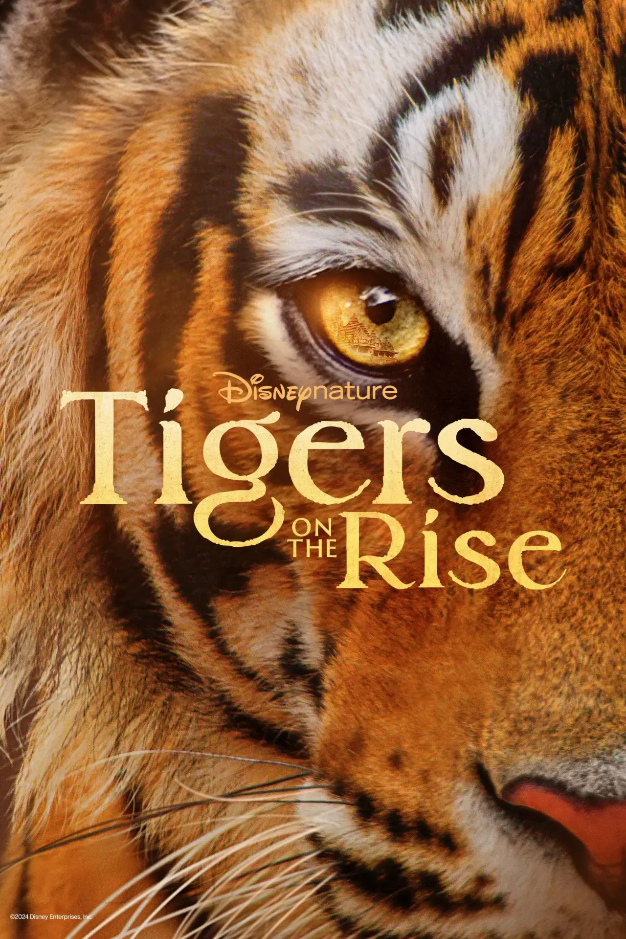 Постер до фільму "Tigers on the Rise"