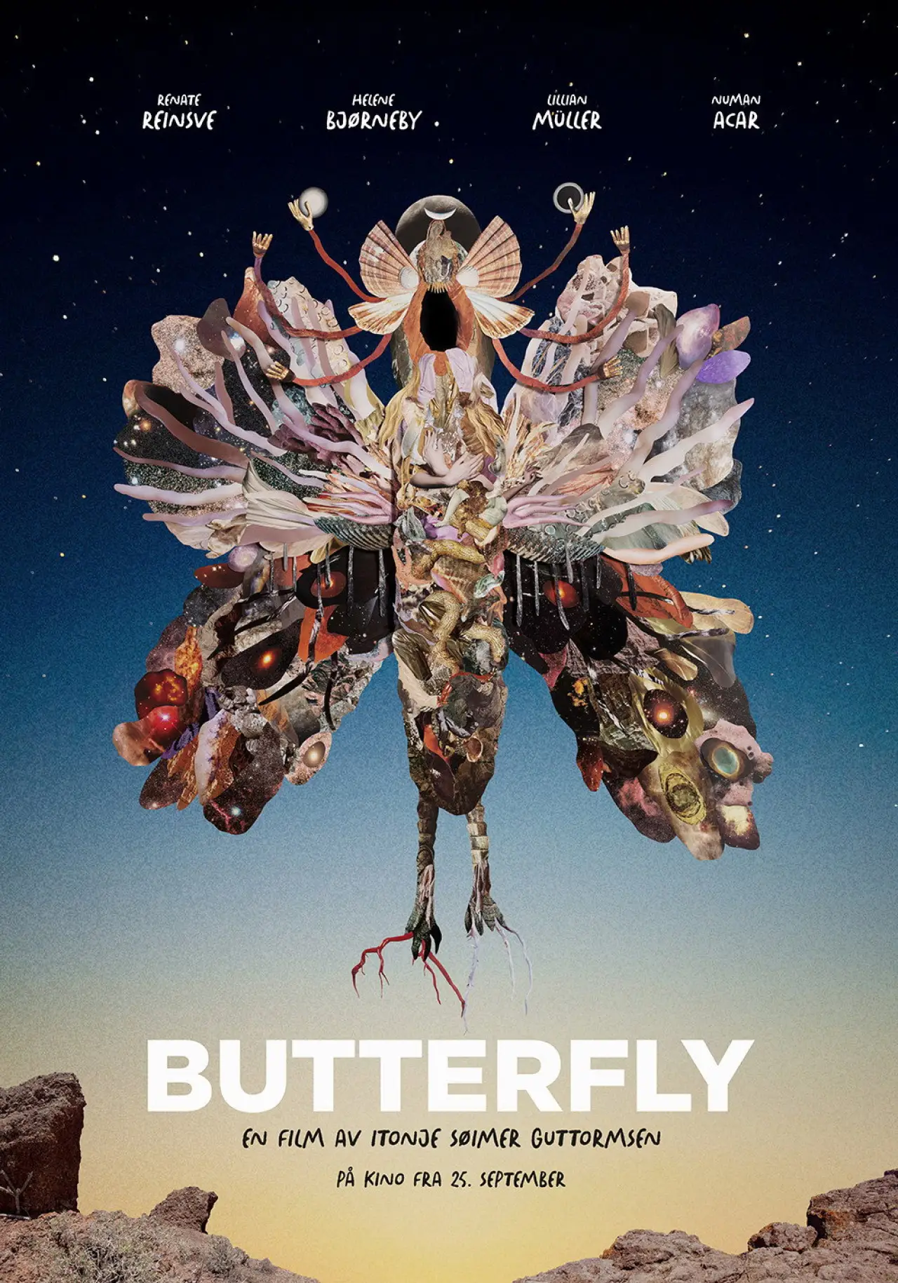 Постер до фільму "Butterfly"