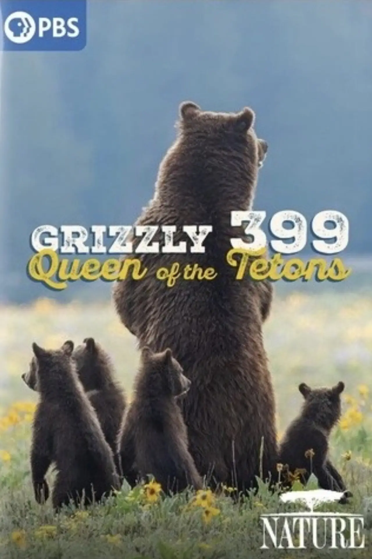 Постер до фільму "399: Queen of the Tetons"