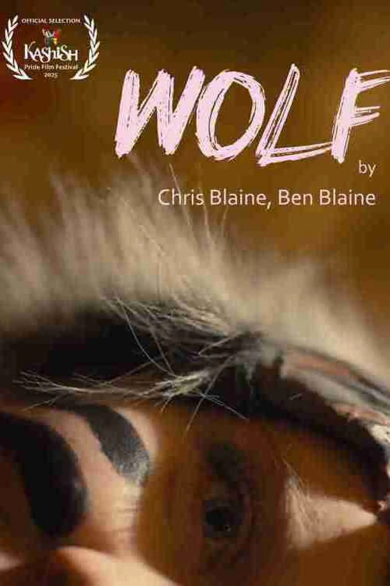 Постер до фільму "Wolf"