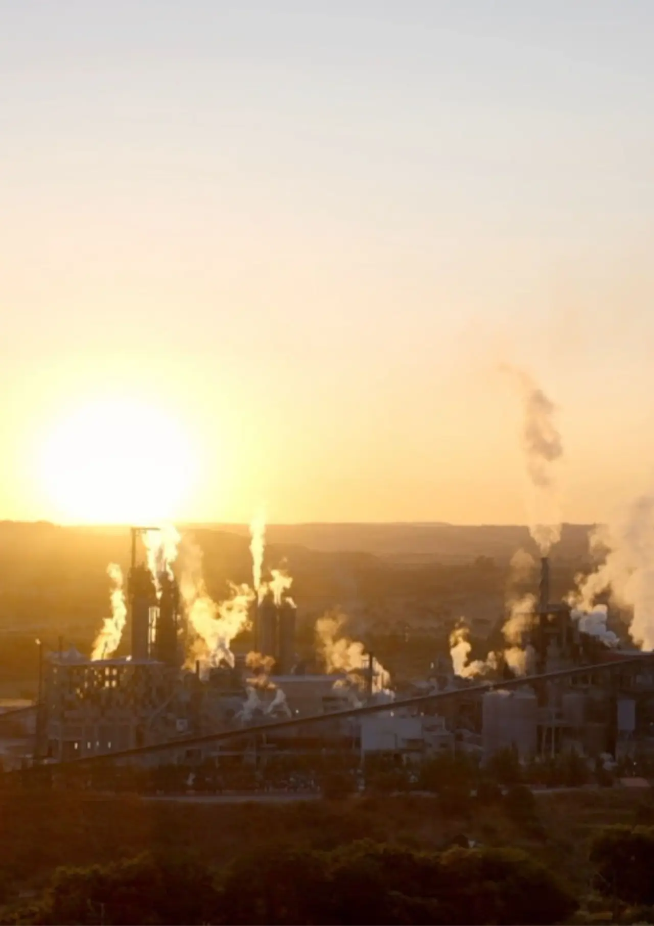 Постер до фільму "I Asked the Factory"