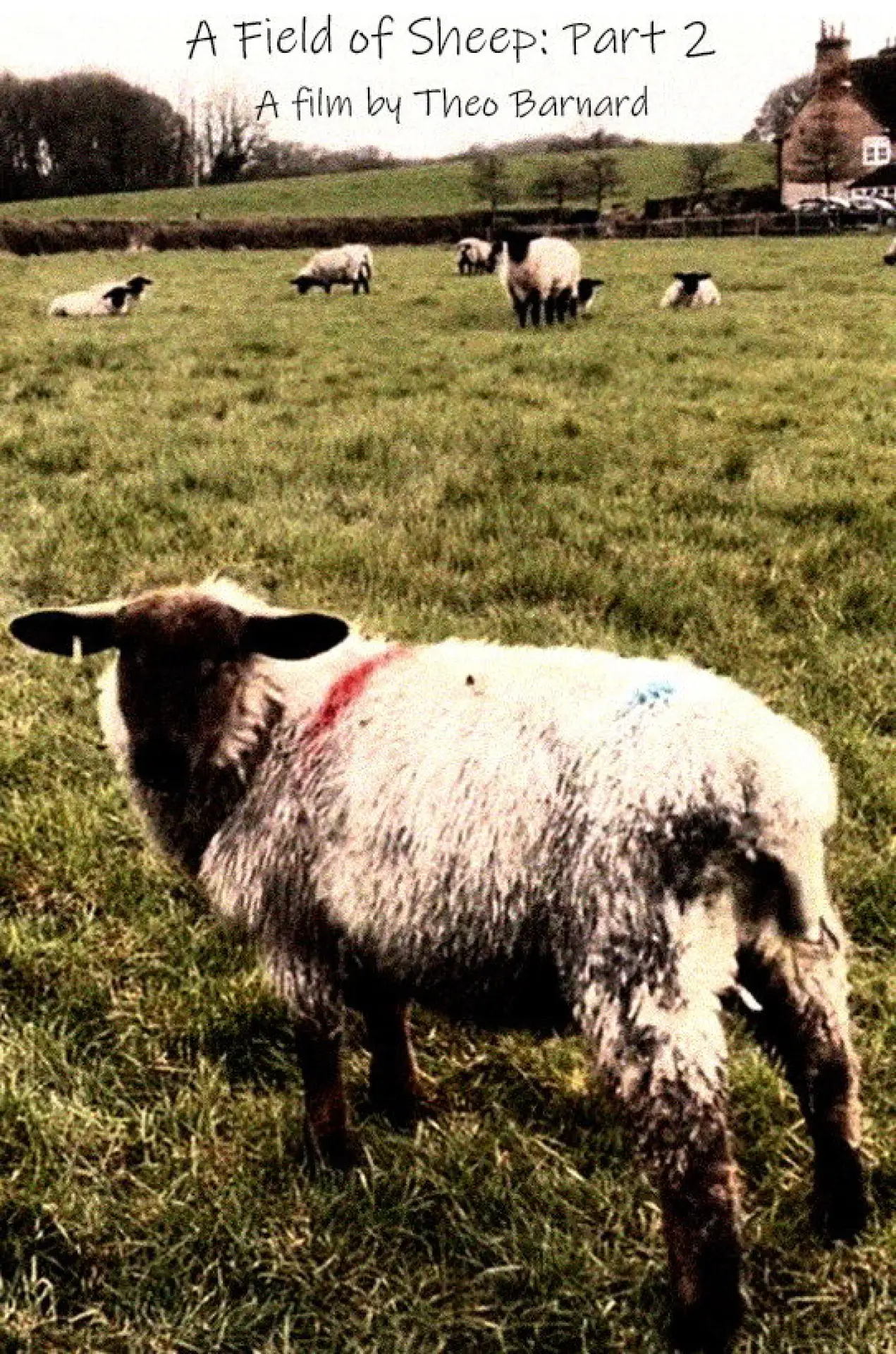 Постер до фільму "A Field of Sheep Part 2"