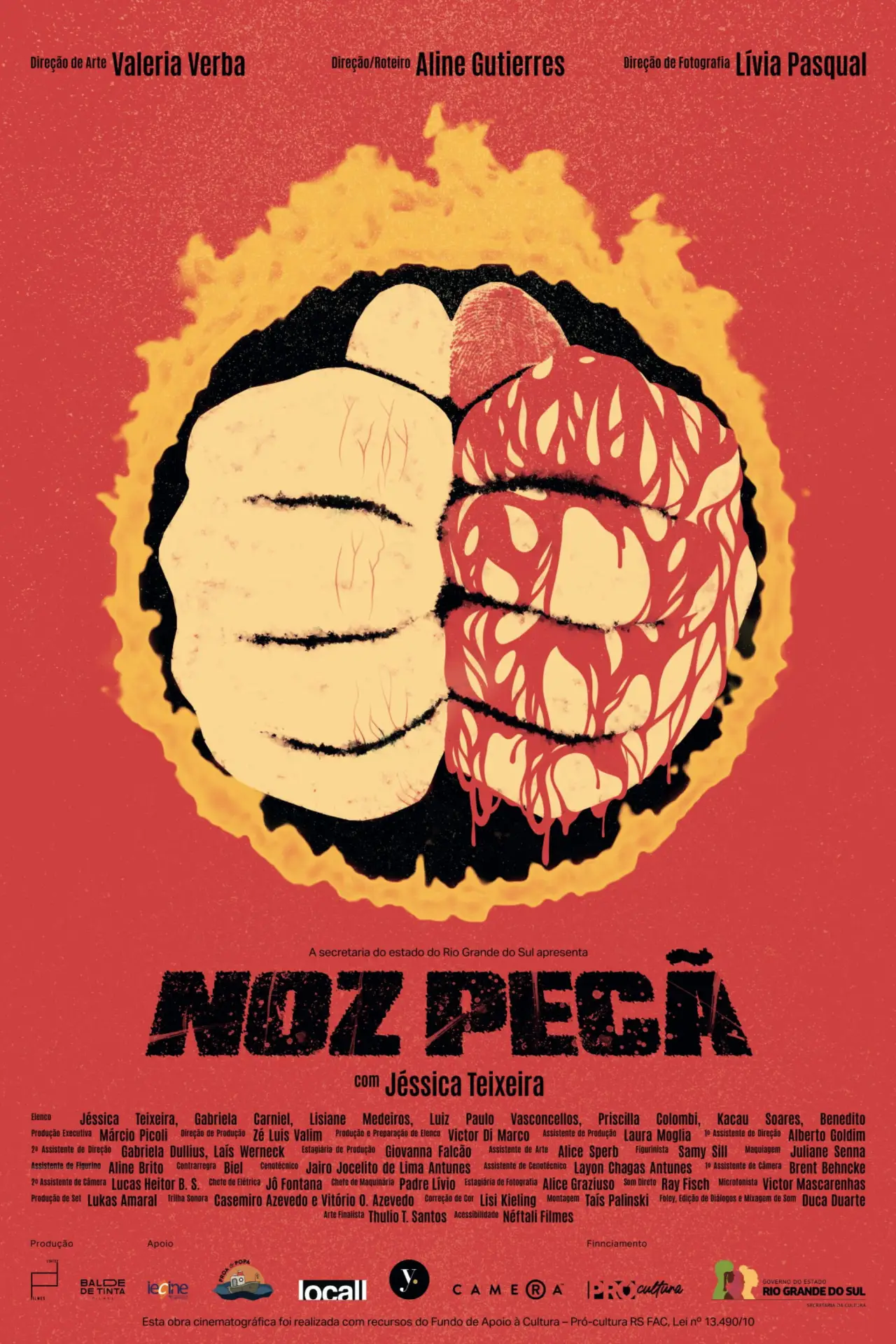 Постер до фільму "Noz Pecã"