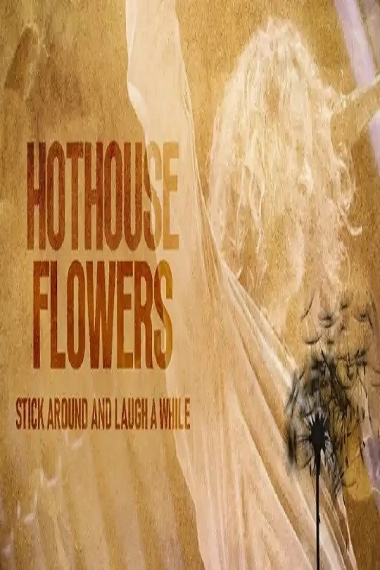 Постер до фільму "Hothouse Flowers: Stick Around and Laugh a While"
