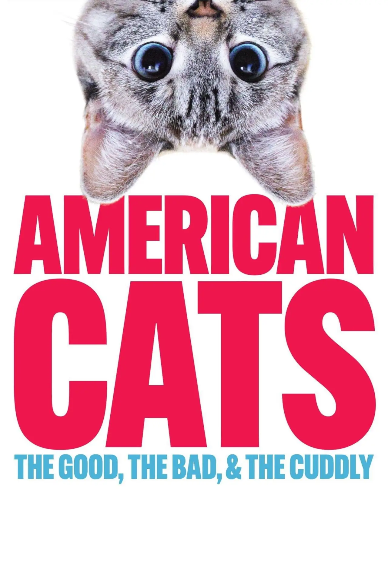 Постер до фільму "American Cats: The Good, the Bad, and the Cuddly"