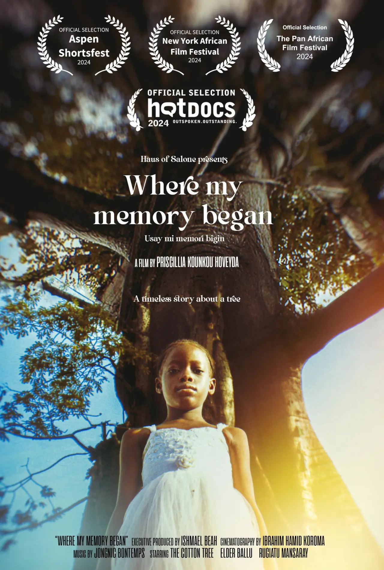 Постер до фільму "Where My Memory Began"
