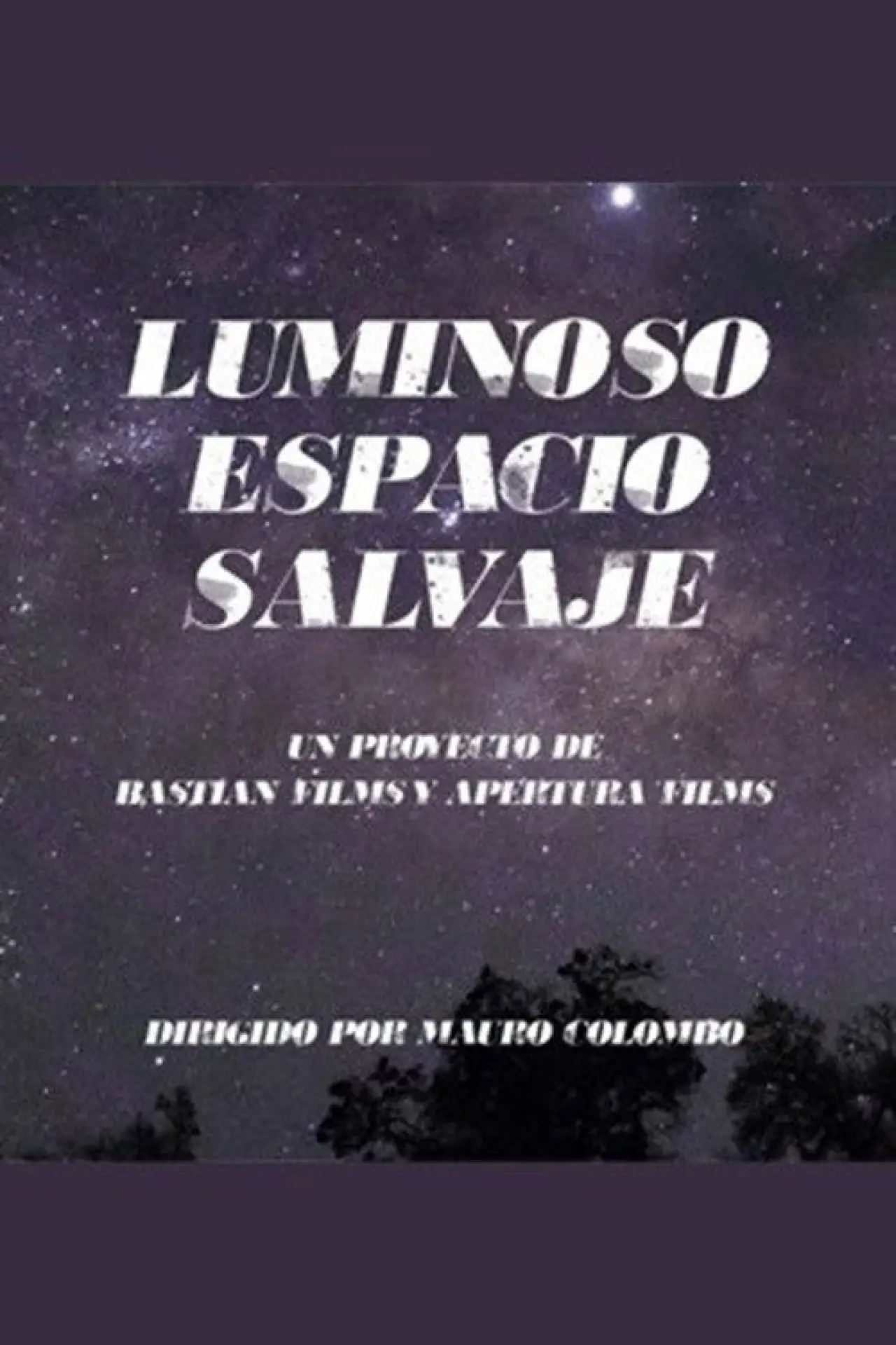 Постер до фільму "Wild Gleaming Space"