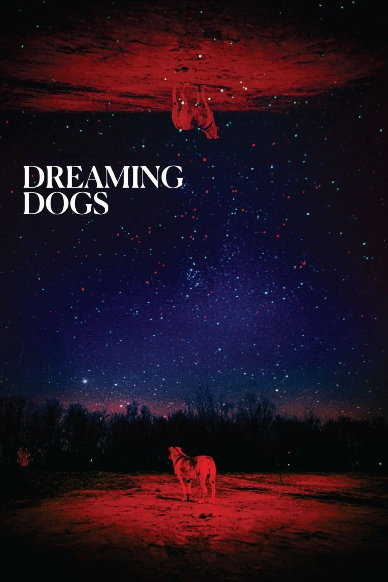 Постер до фільму "Dreaming Dogs"