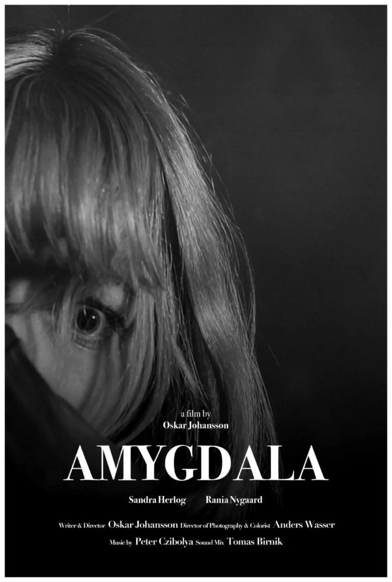 Постер до фільму "Amygdala"